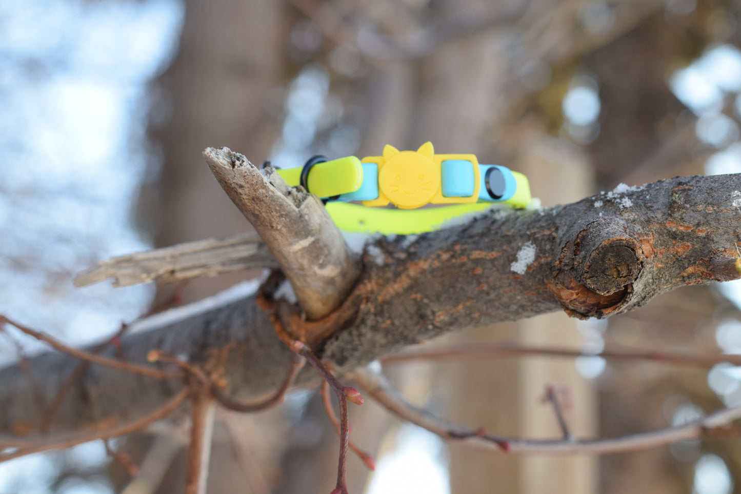 Breakaway Collar for Cats