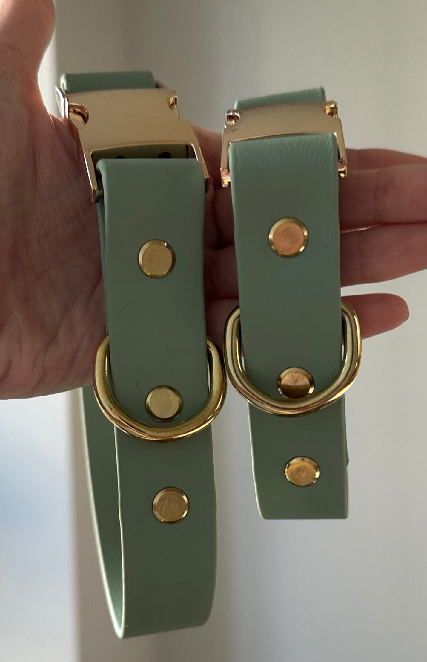 REFLECTIVE – Flat Collar – Quick Release