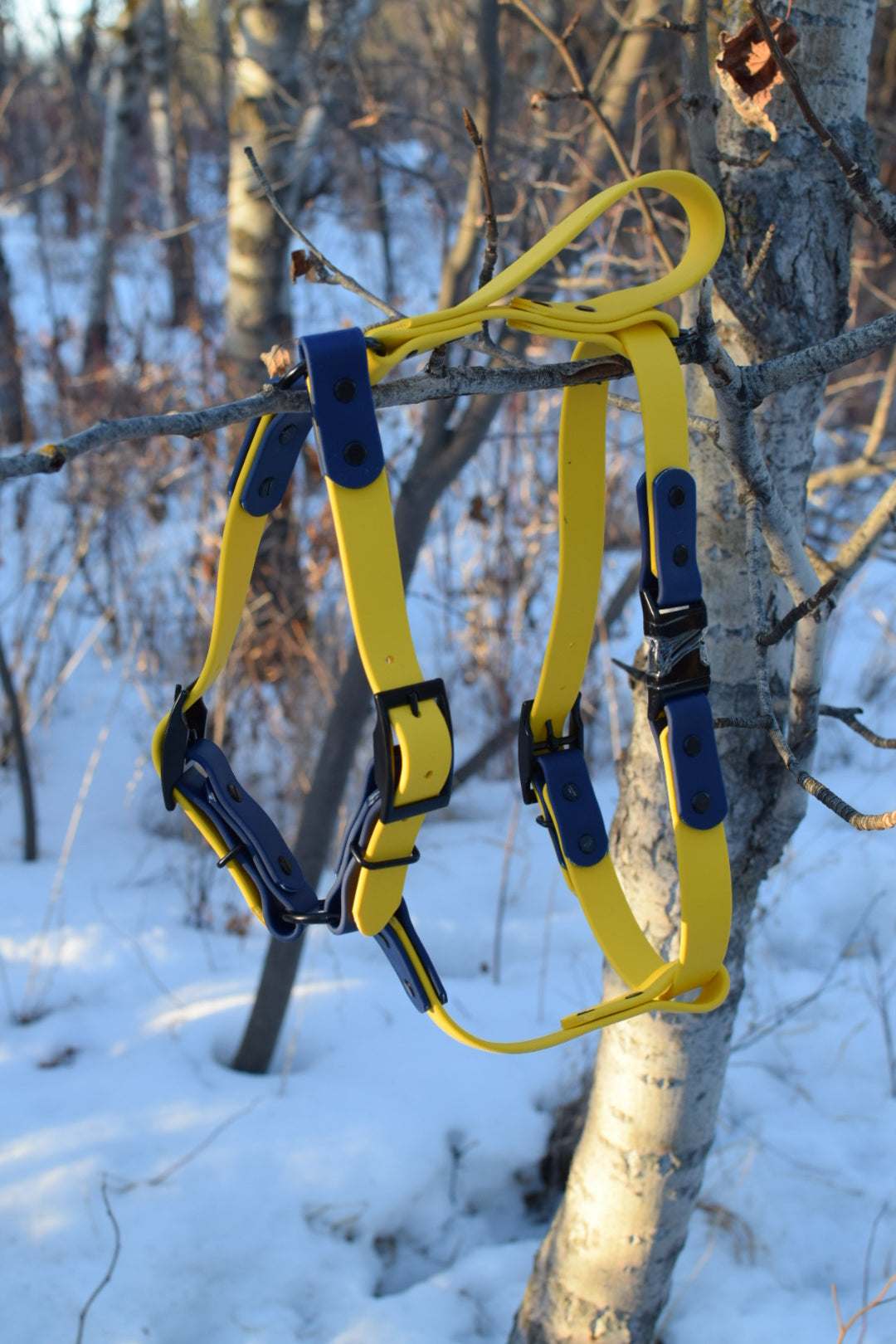 Everyday Dog Harness