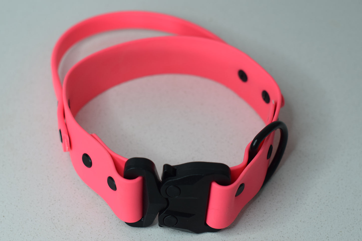 Sport Dog Collar