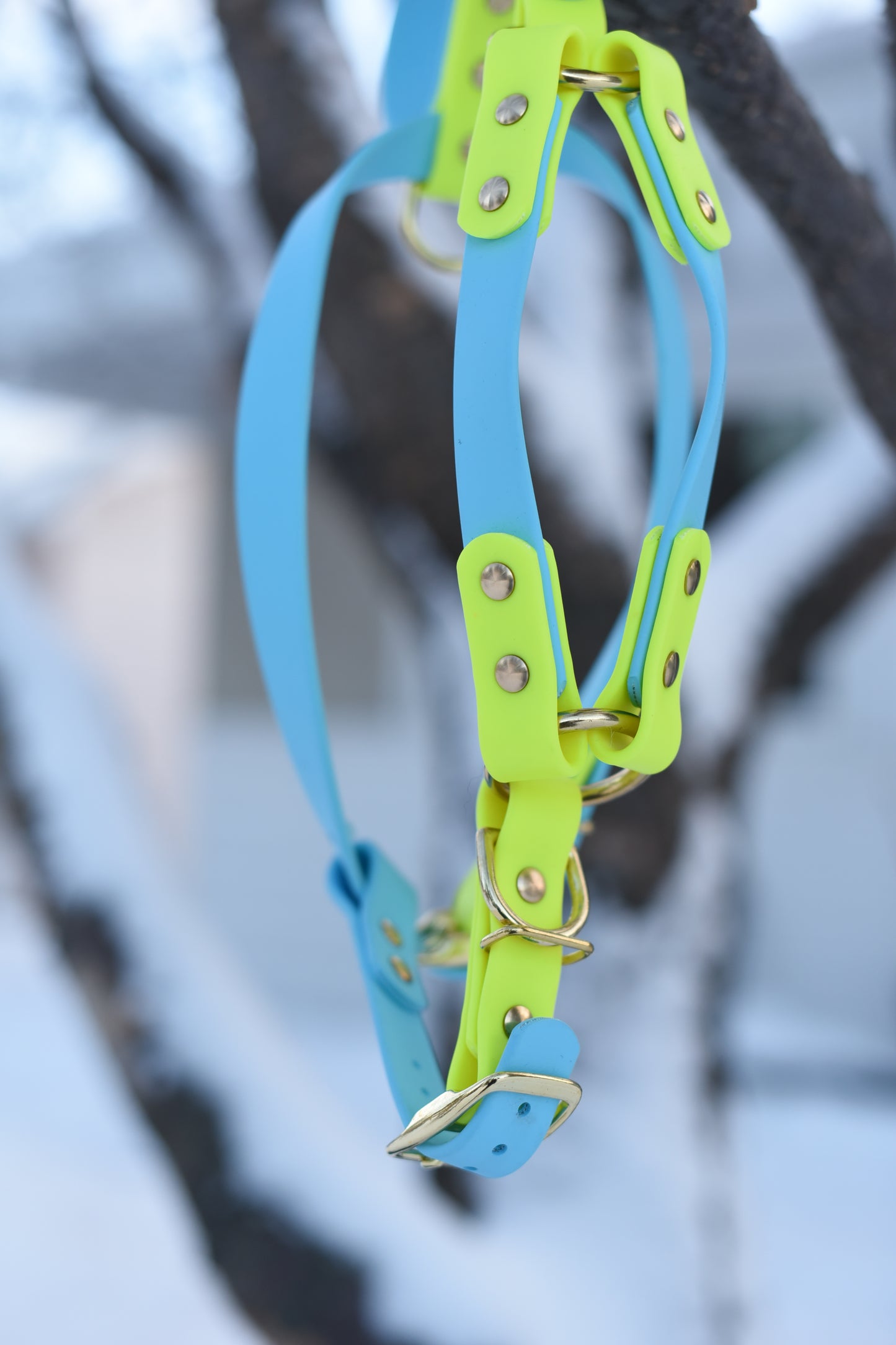 Everyday Dog Harness