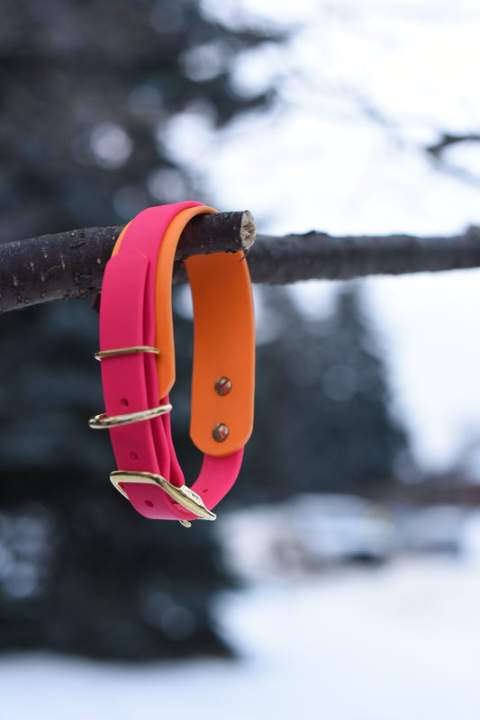 Flat Collar – Buckle Adjustable