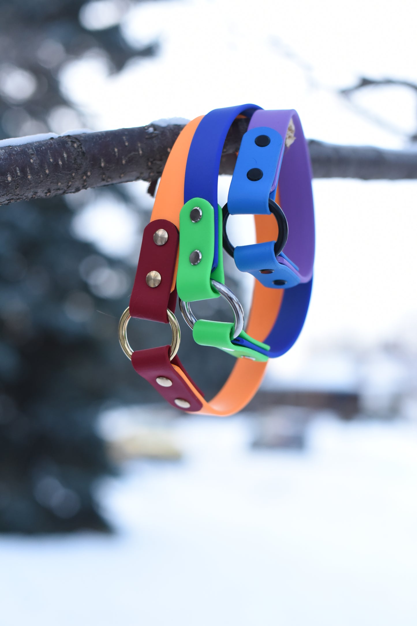 Fi Compatible Tag Collar