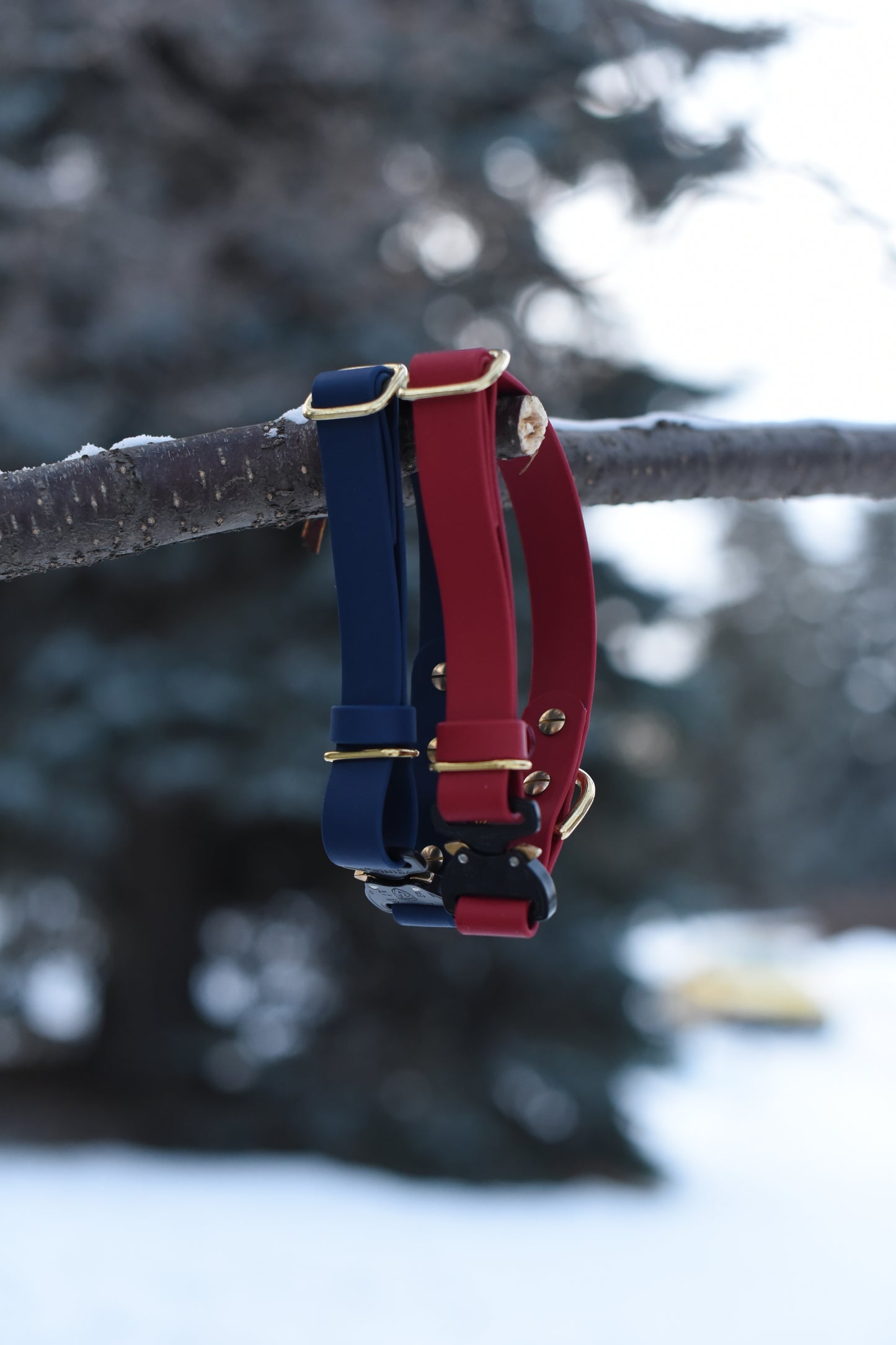 Flat Collar – Quick Release