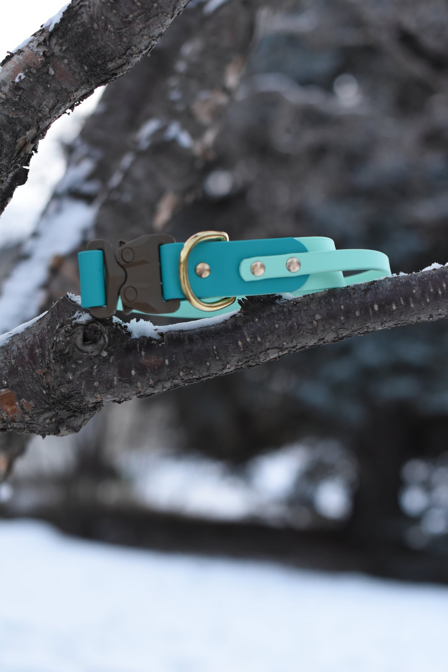 Sport Collar