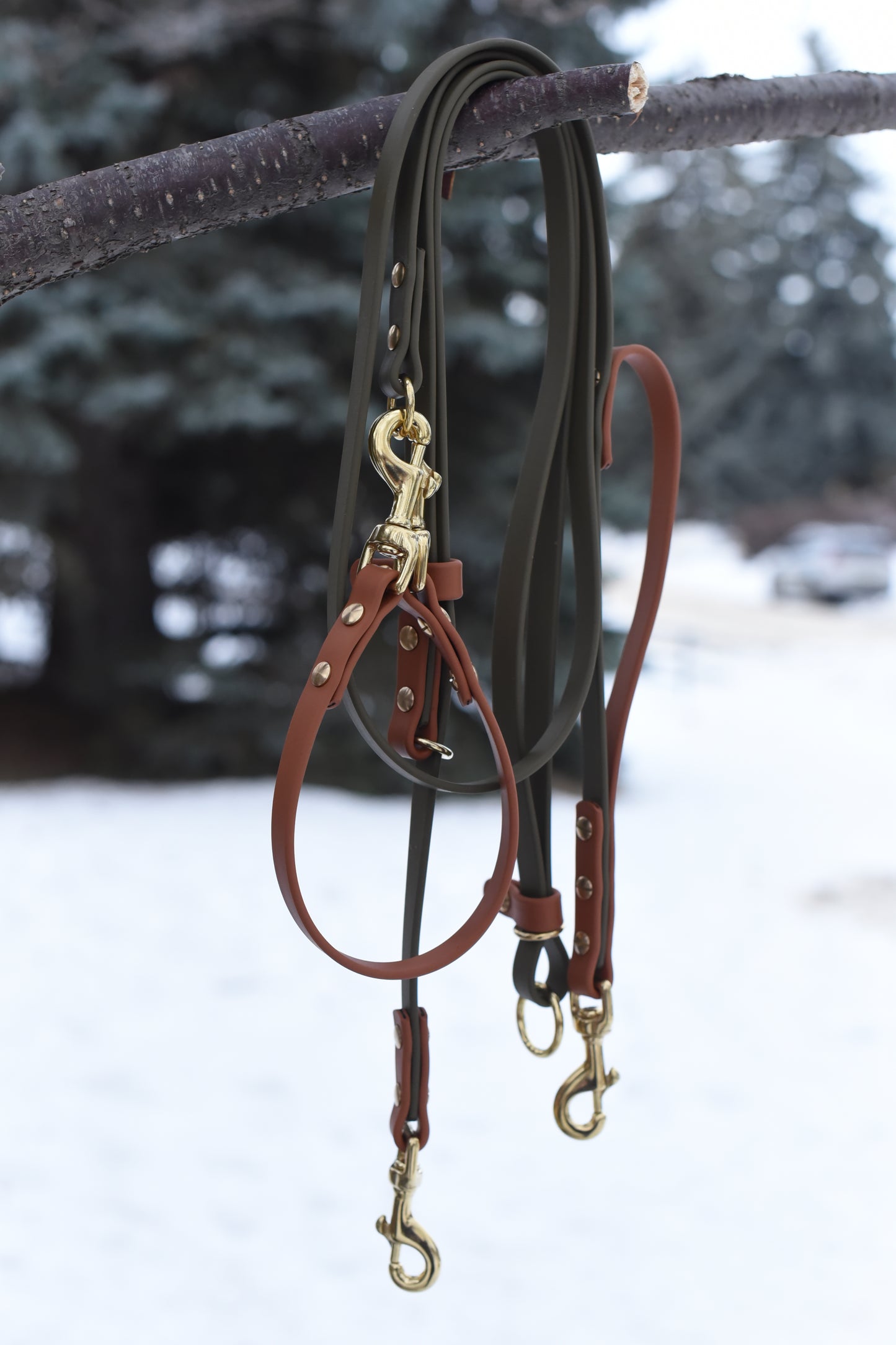 Handsfree Leash
