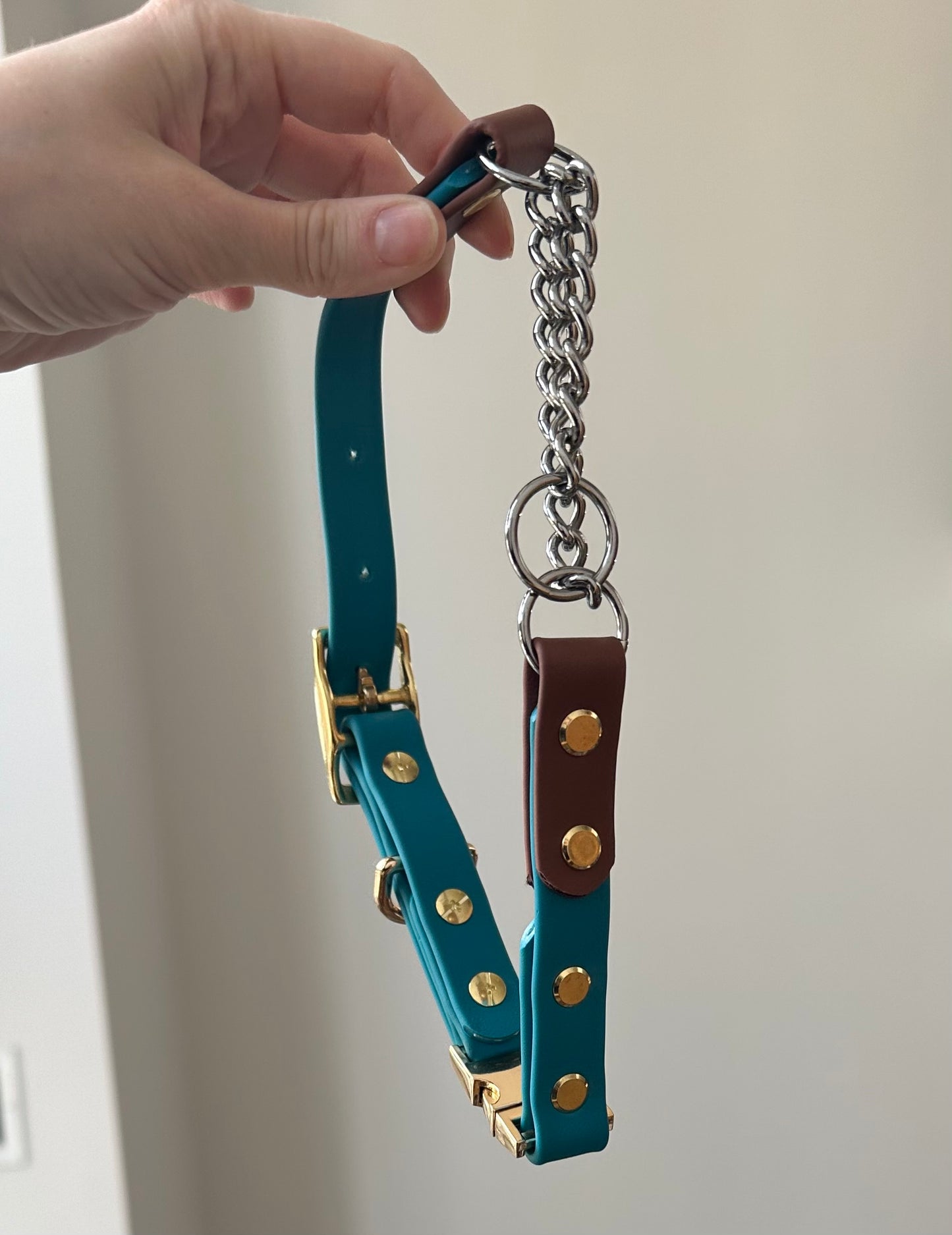 REFLECTIVE – Martingale Collar