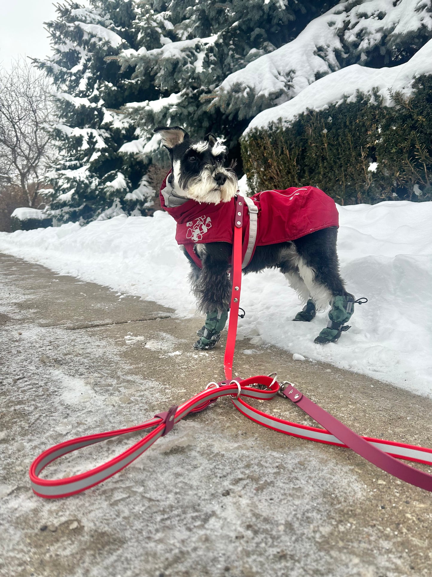 REFLECTIVE – Handsfree Leash