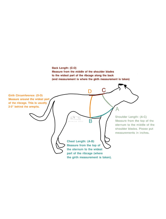 Everyday Dog Harness