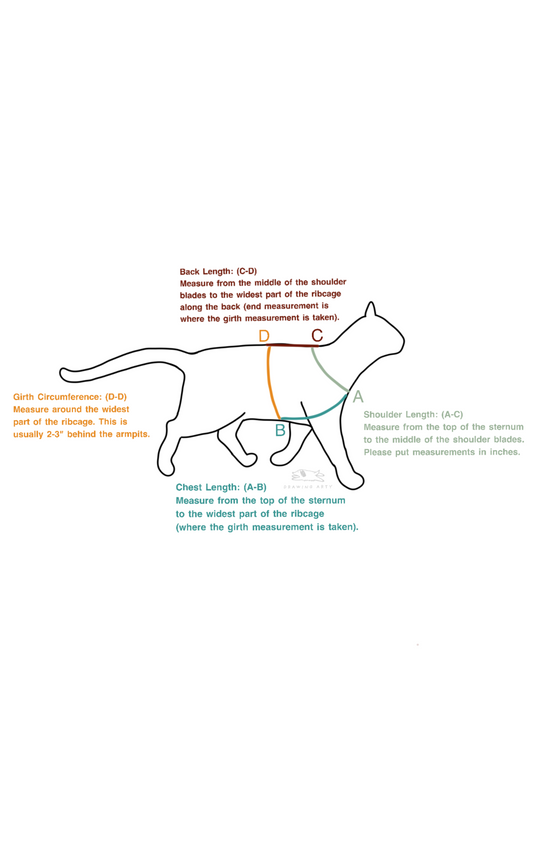 Everyday Cat Harness