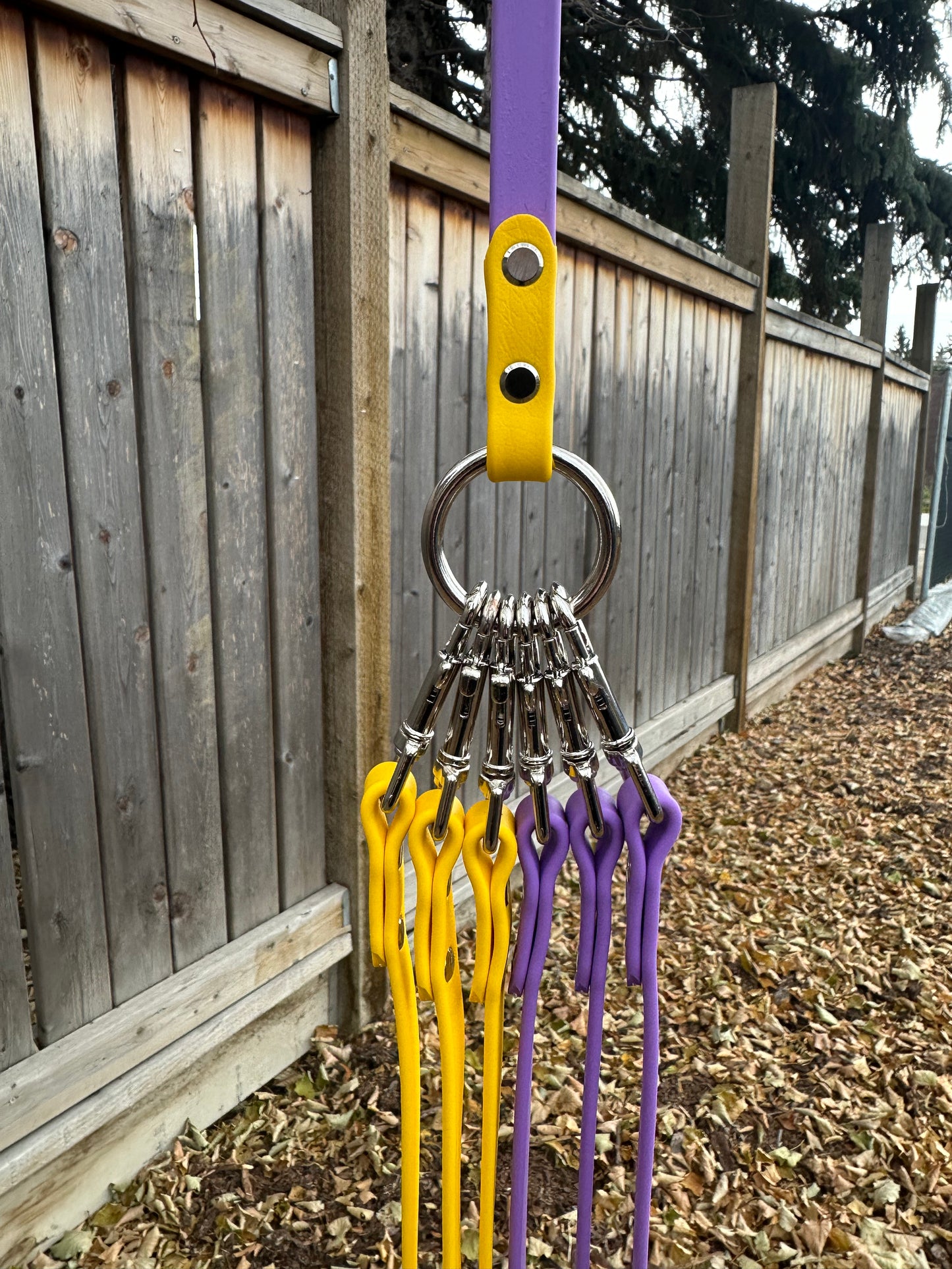 Multi-Dog Walking System
