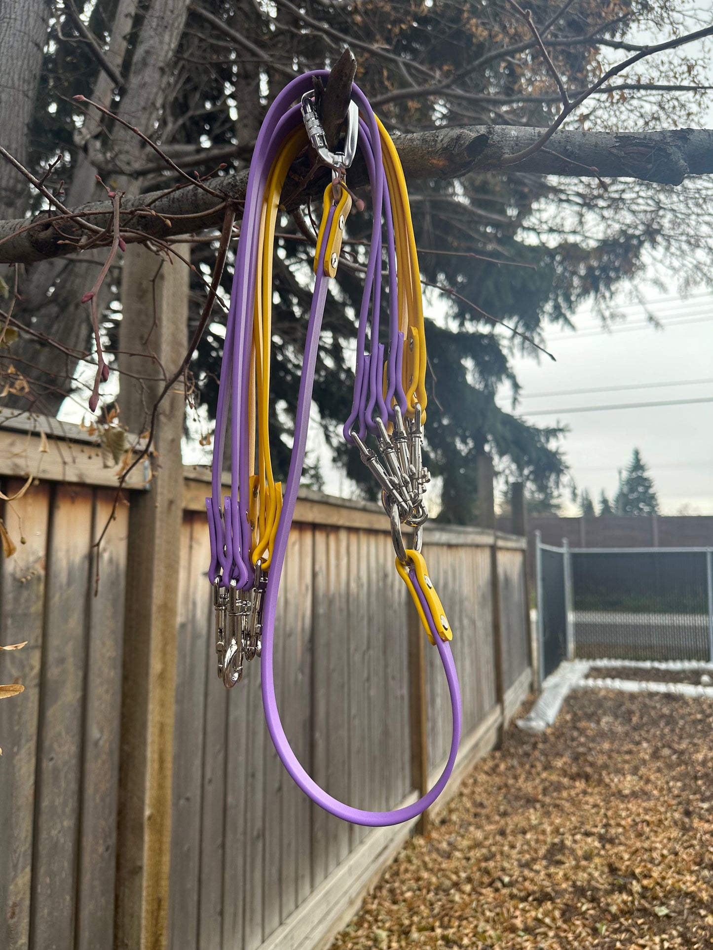 Multi-Dog Walking System