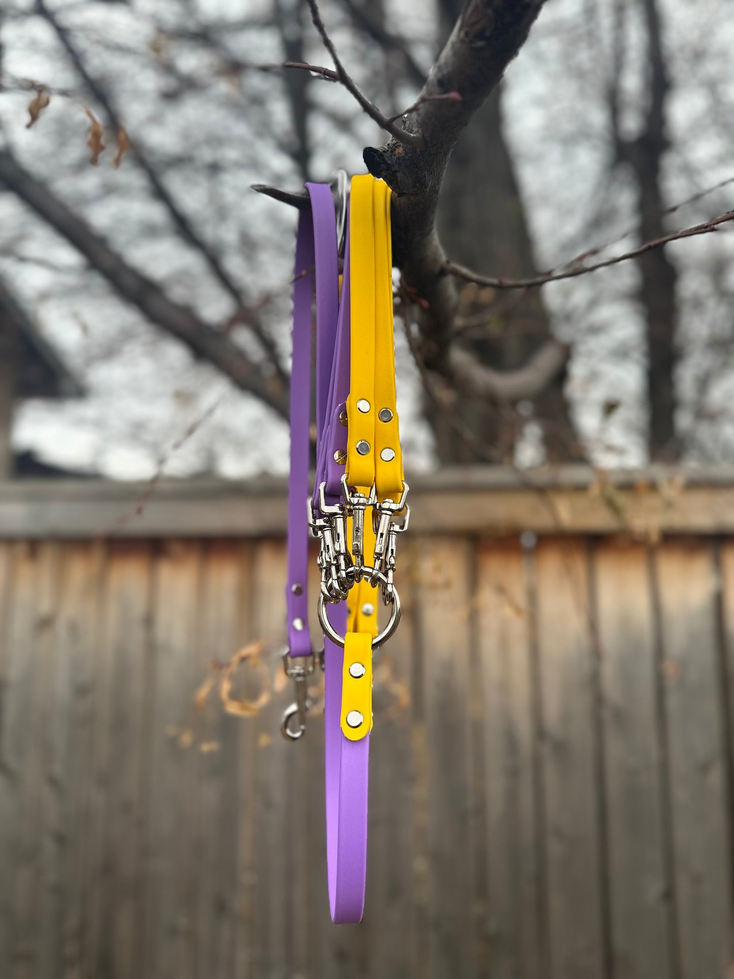 Multi-Dog Walking System