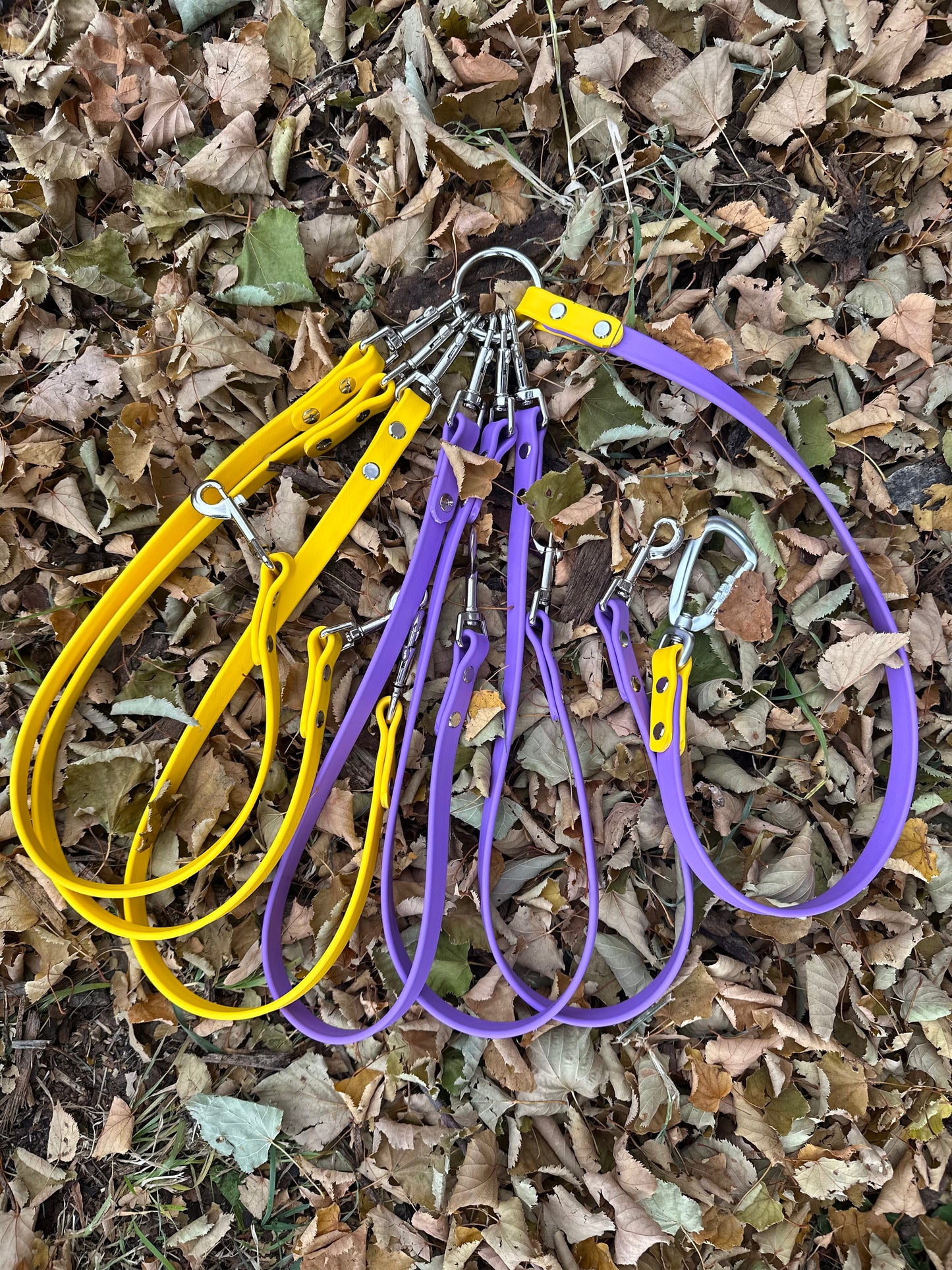 Multi-Dog Walking System