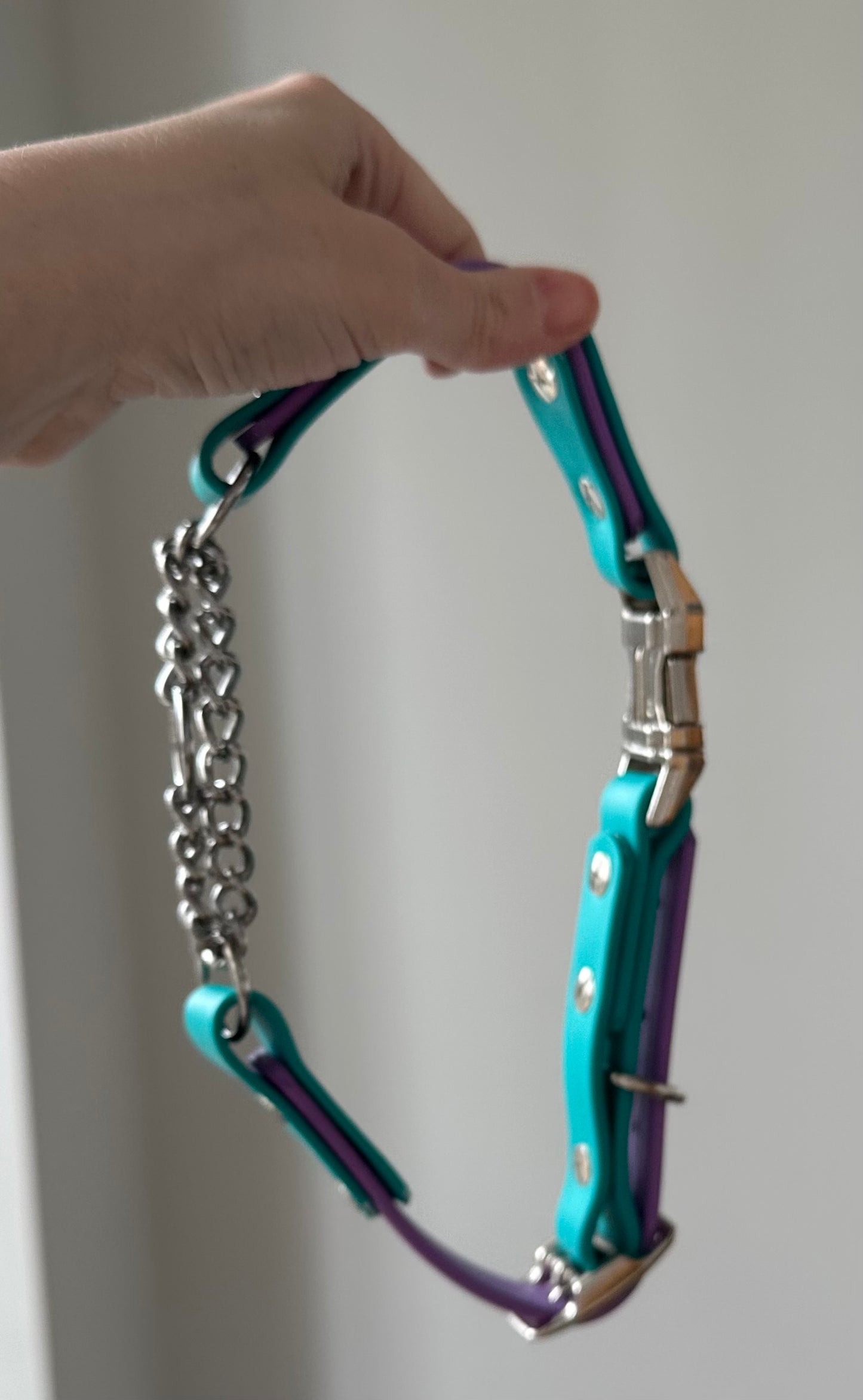 Martingale Collar