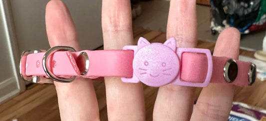 Breakaway Collar for Cats