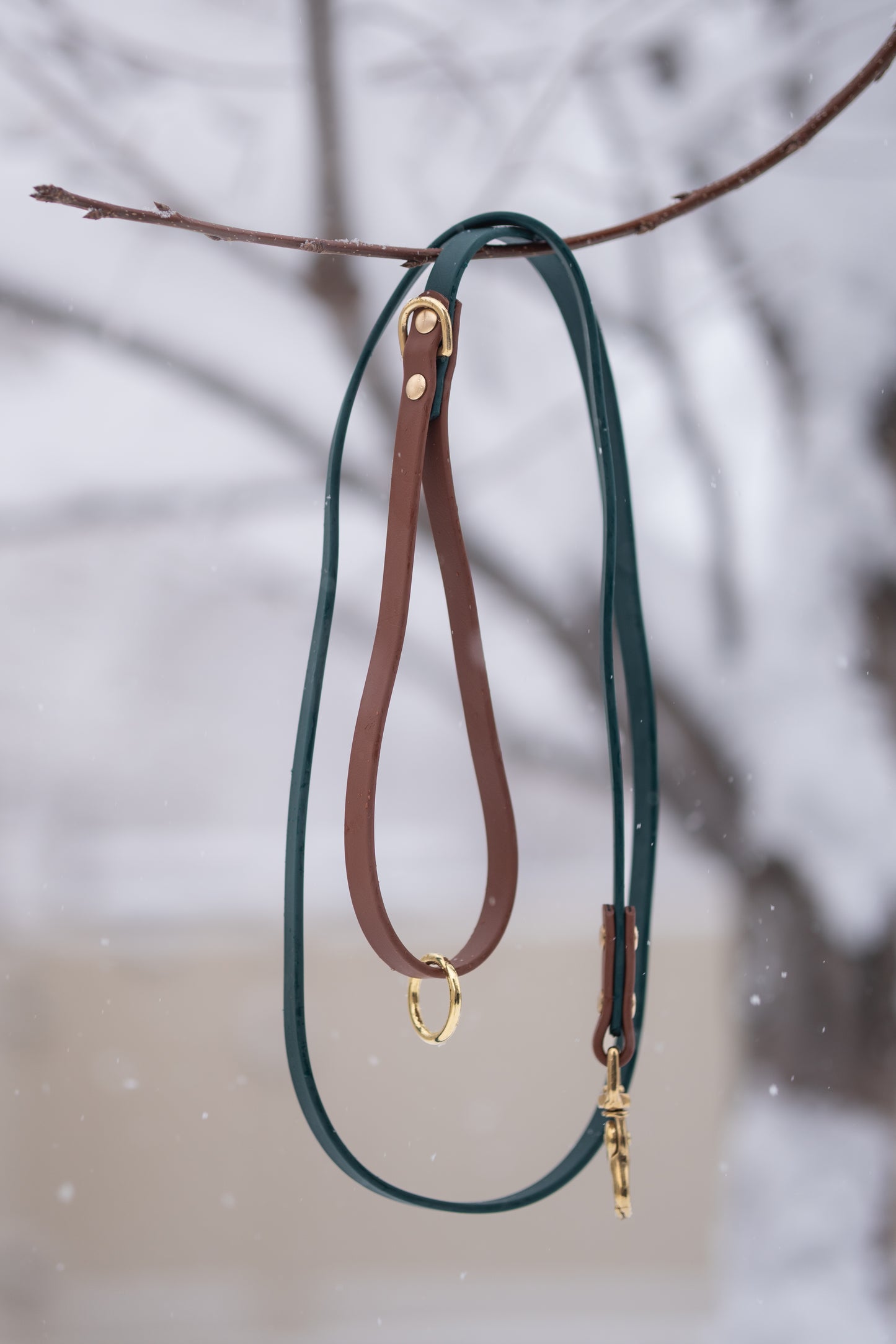 Leashes