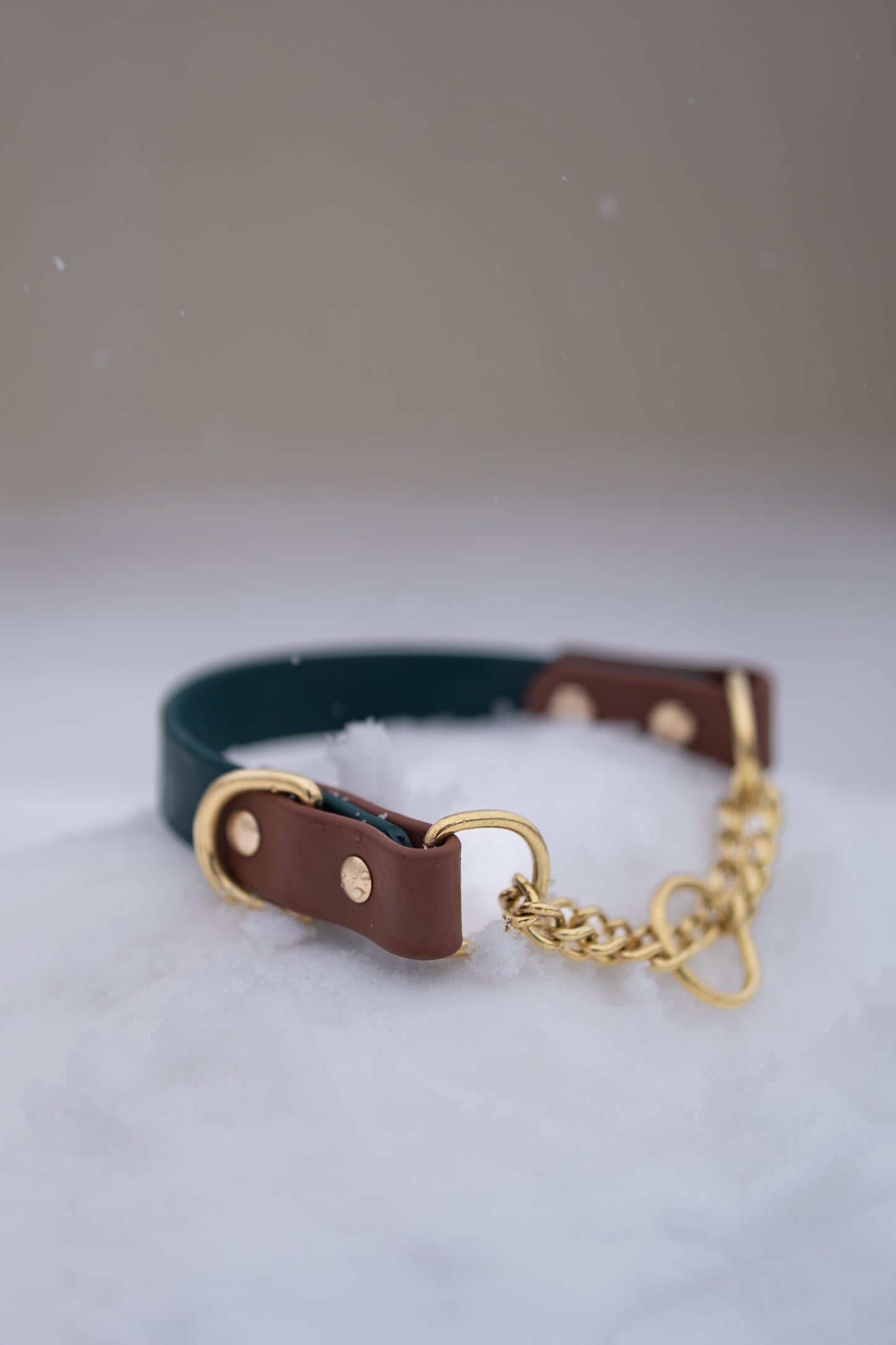 Martingale Collar