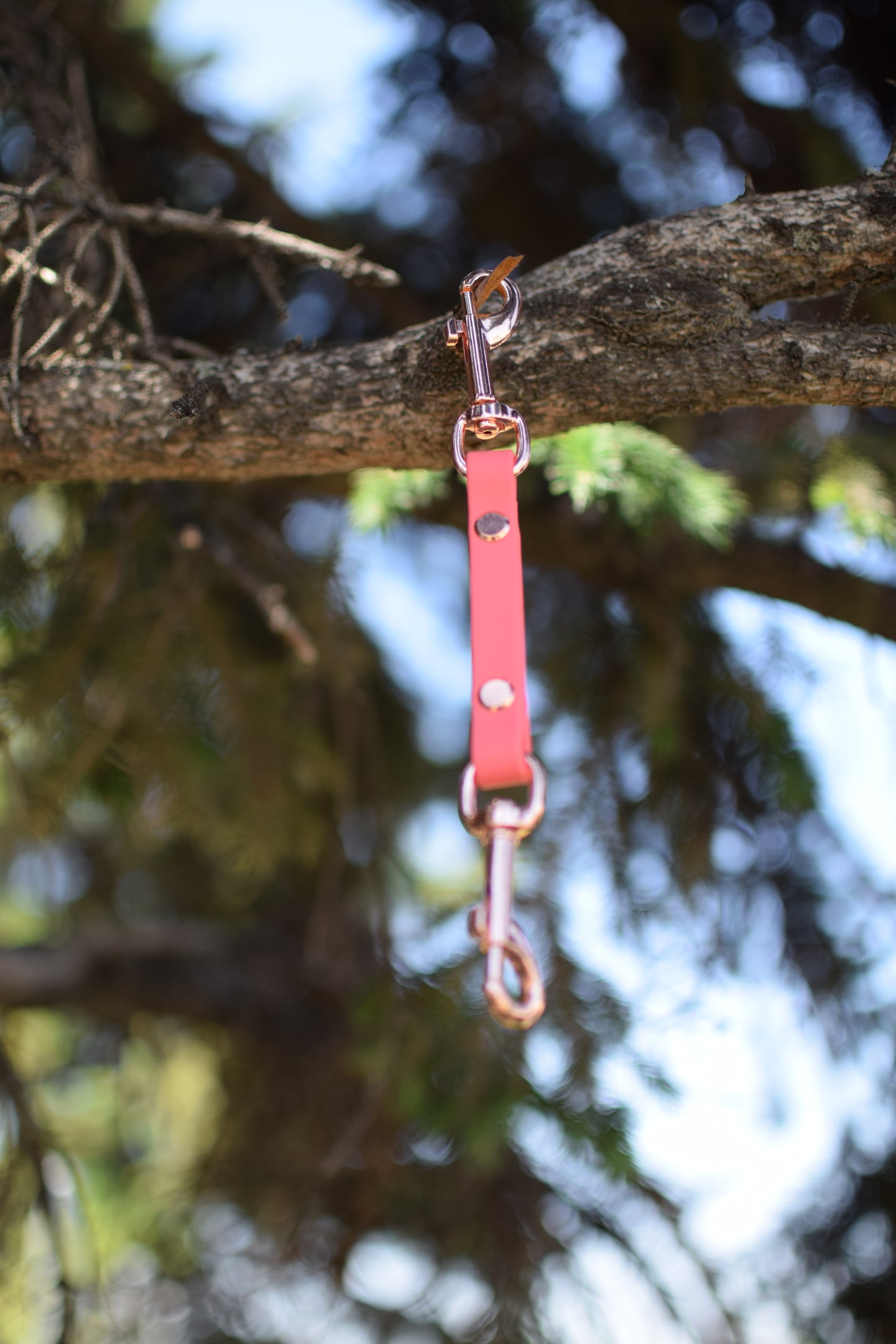 Safety Strap