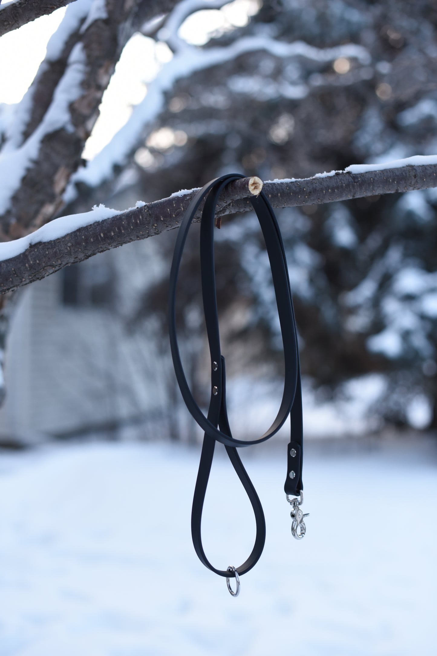 Leashes