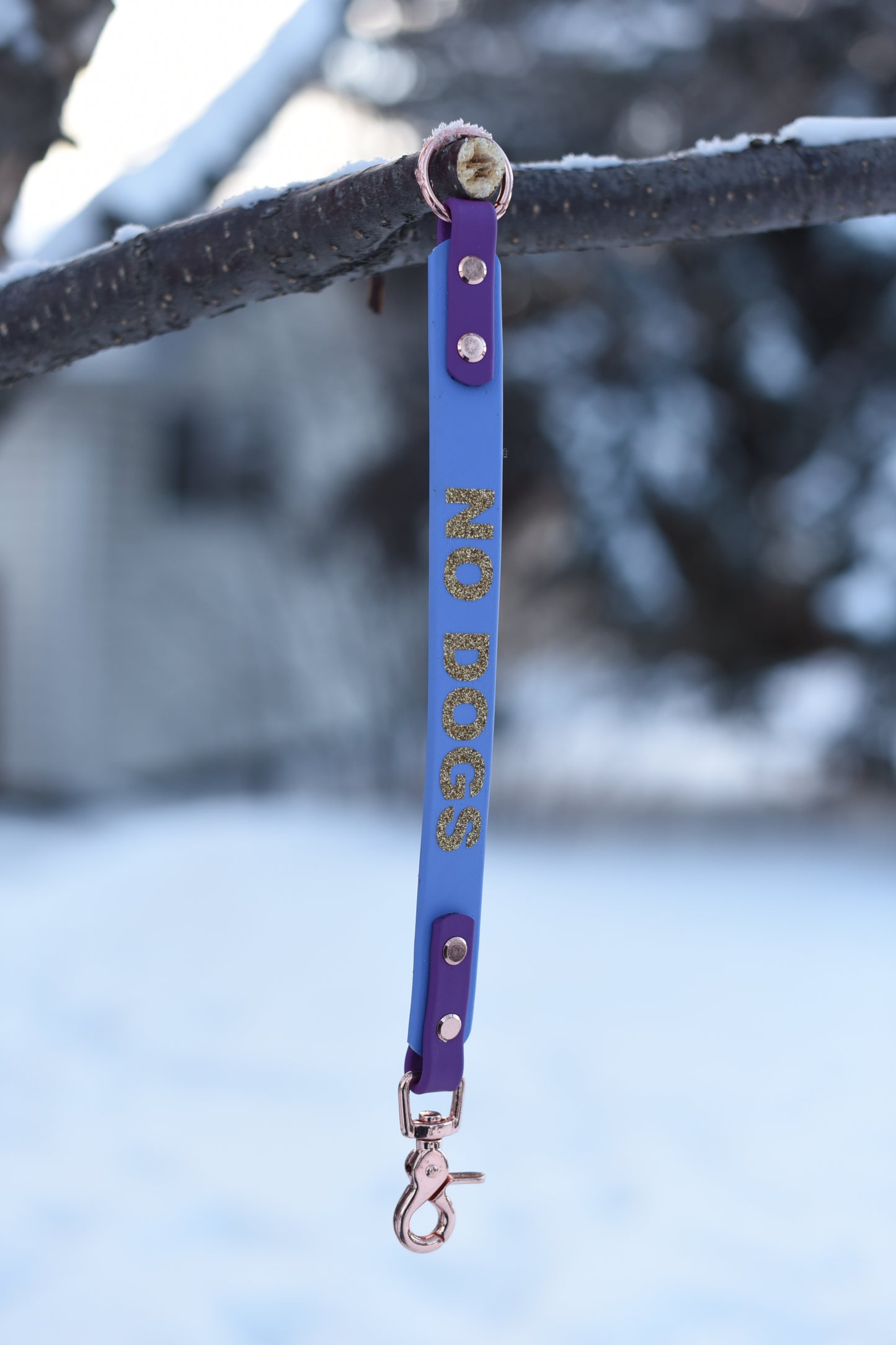 Leash Extenders with Words