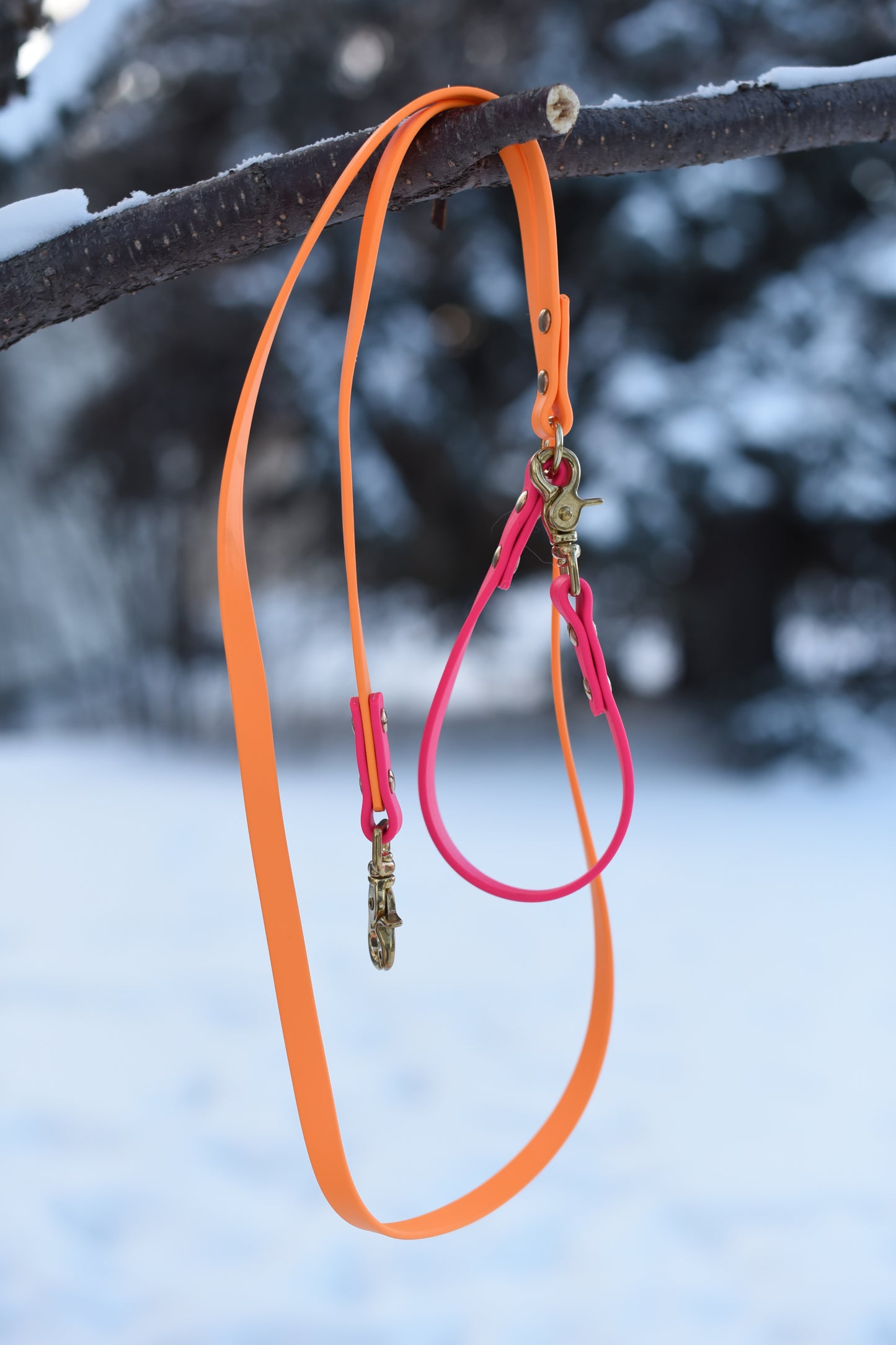 Leashes