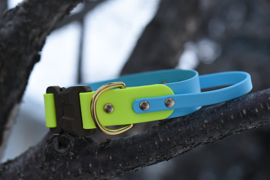 Fi Compatible Sport Collar