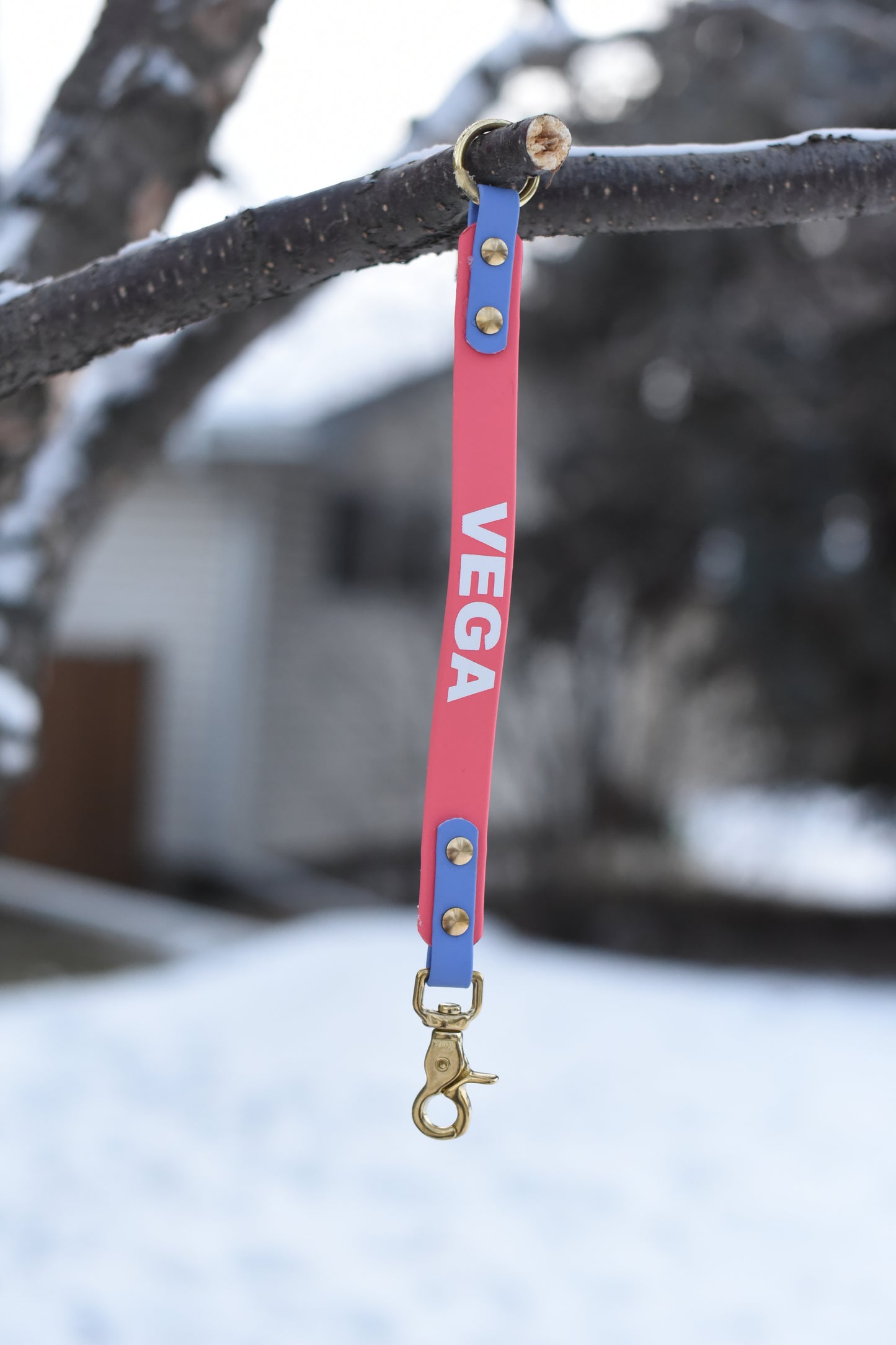 Leash Extenders with Words