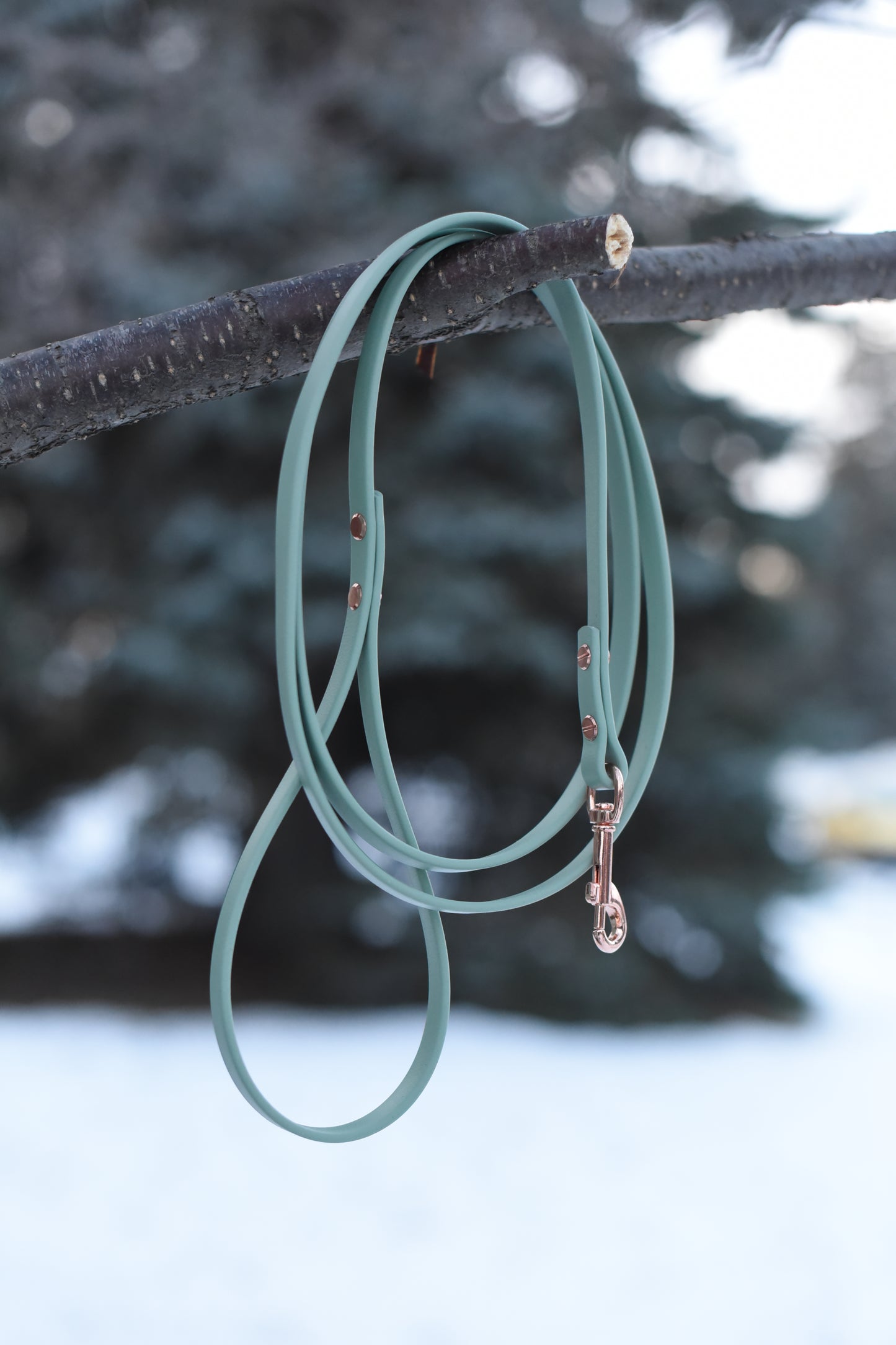 Leashes