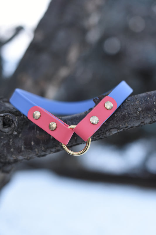 Tag Collar