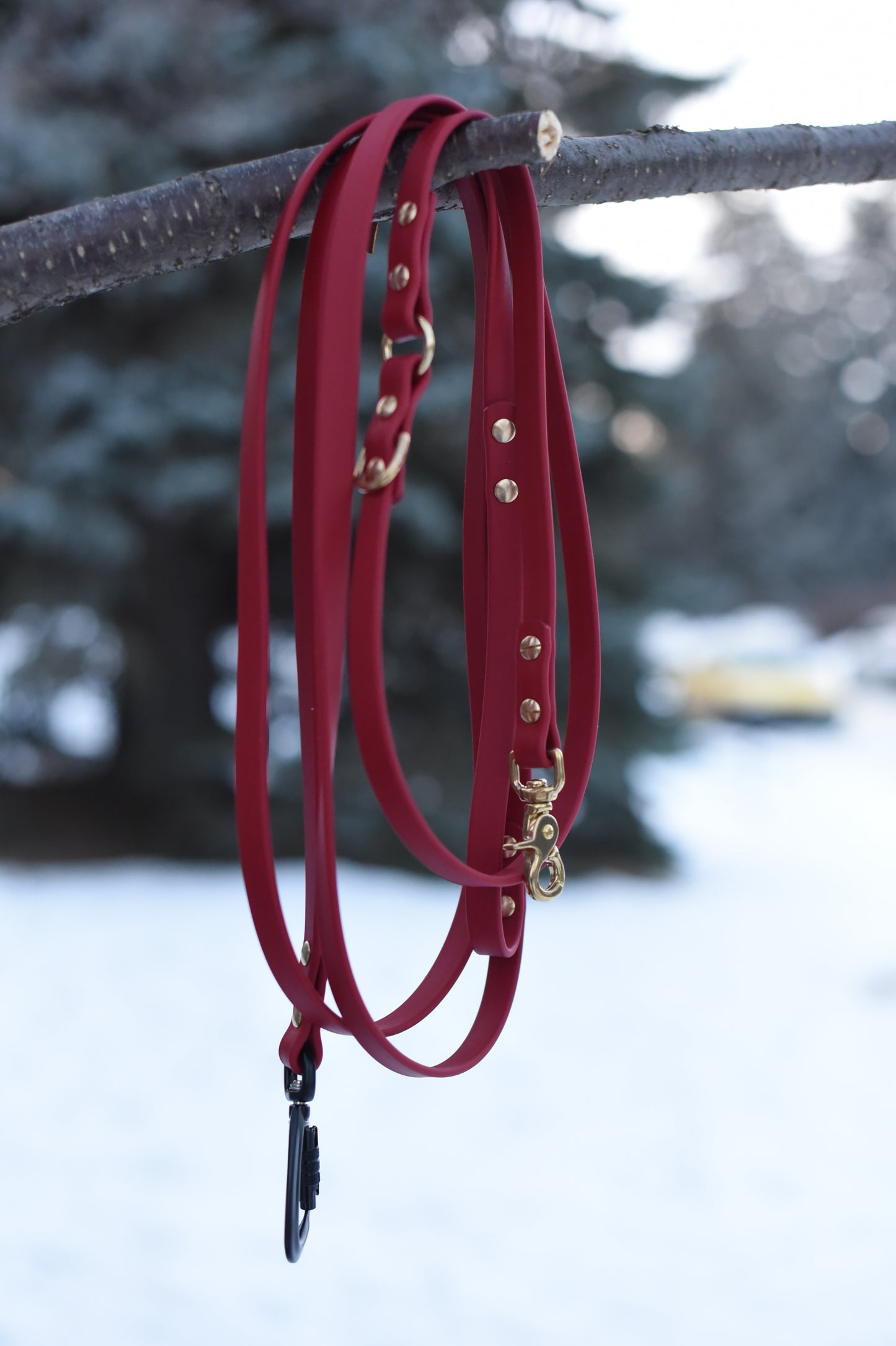 Leashes