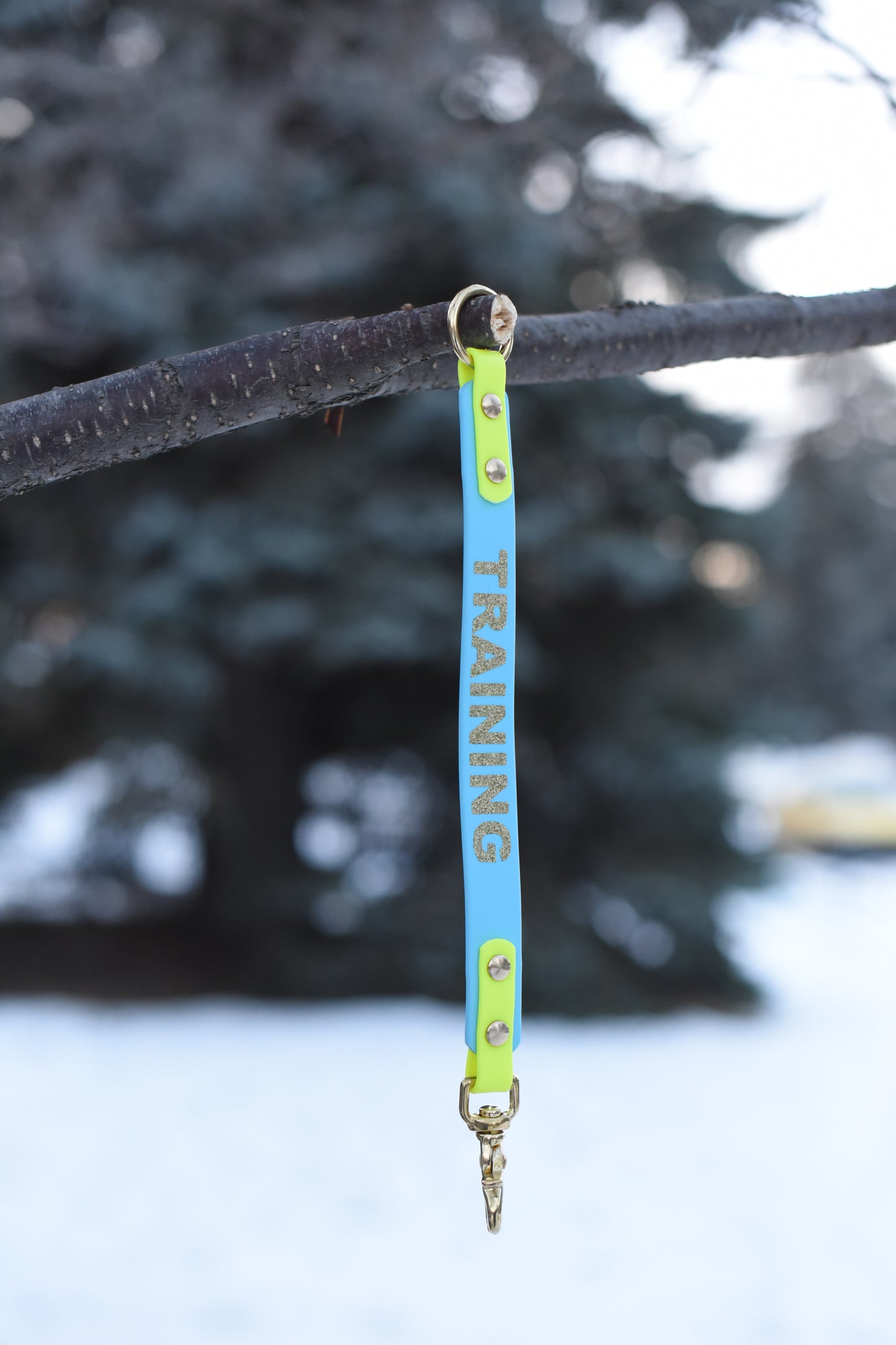 Leash Extenders with Words
