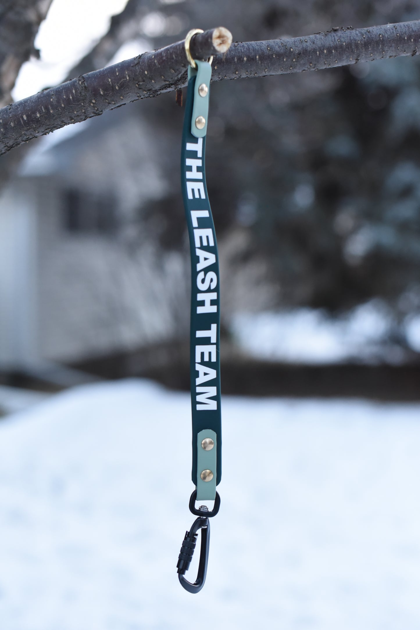 Leash Extenders with Words