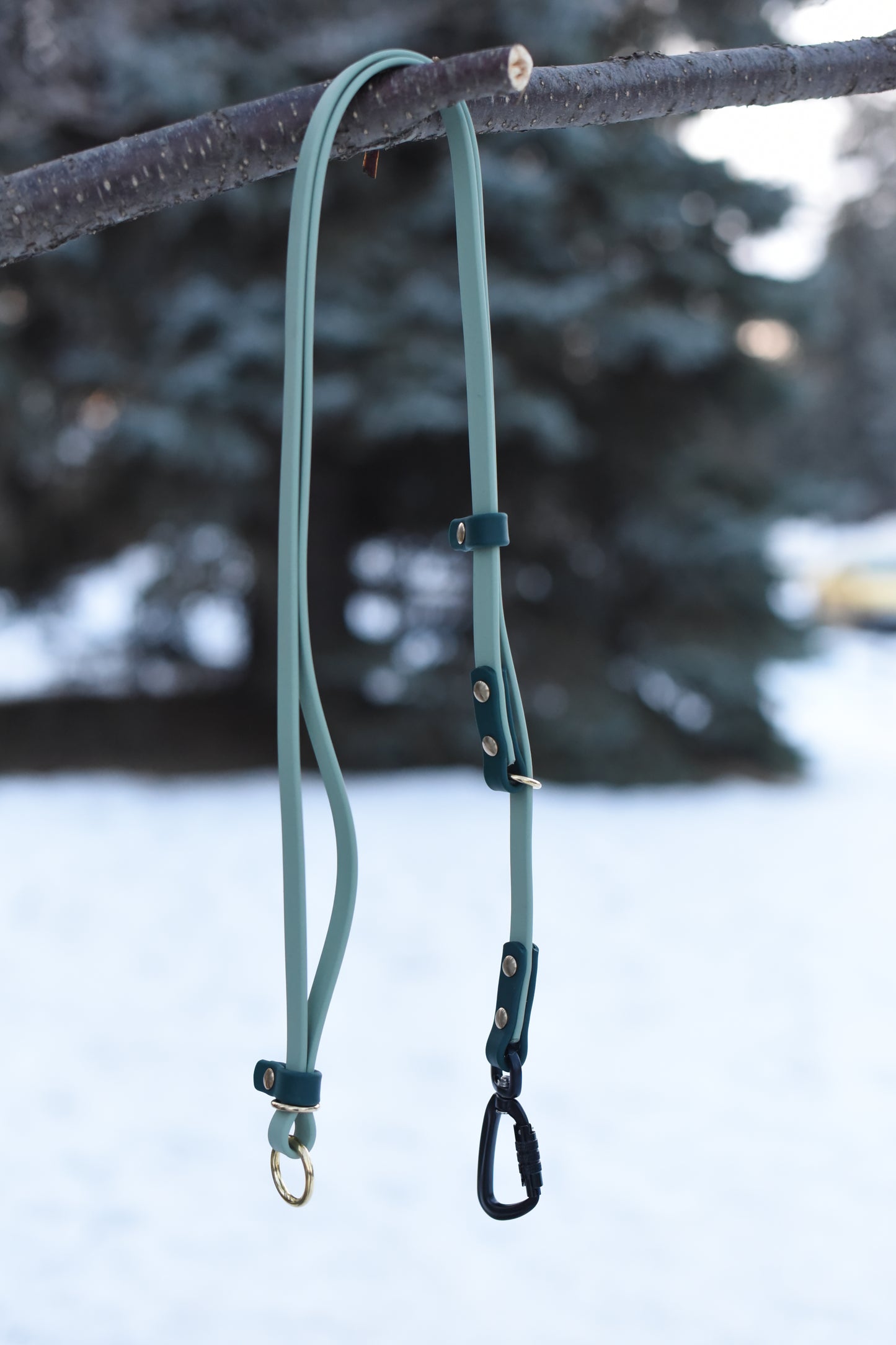 Handsfree Leash