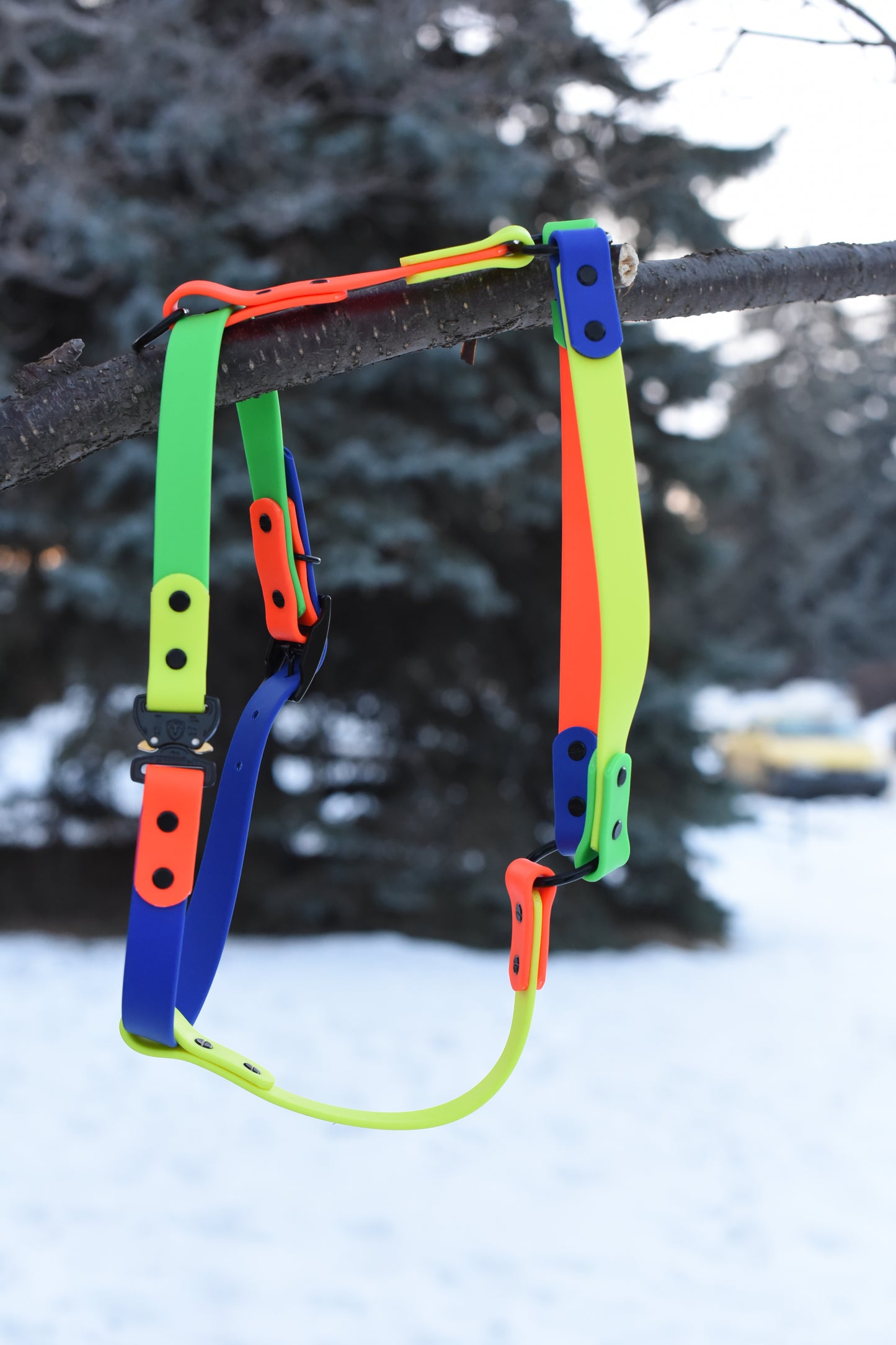 Everyday Dog Harness