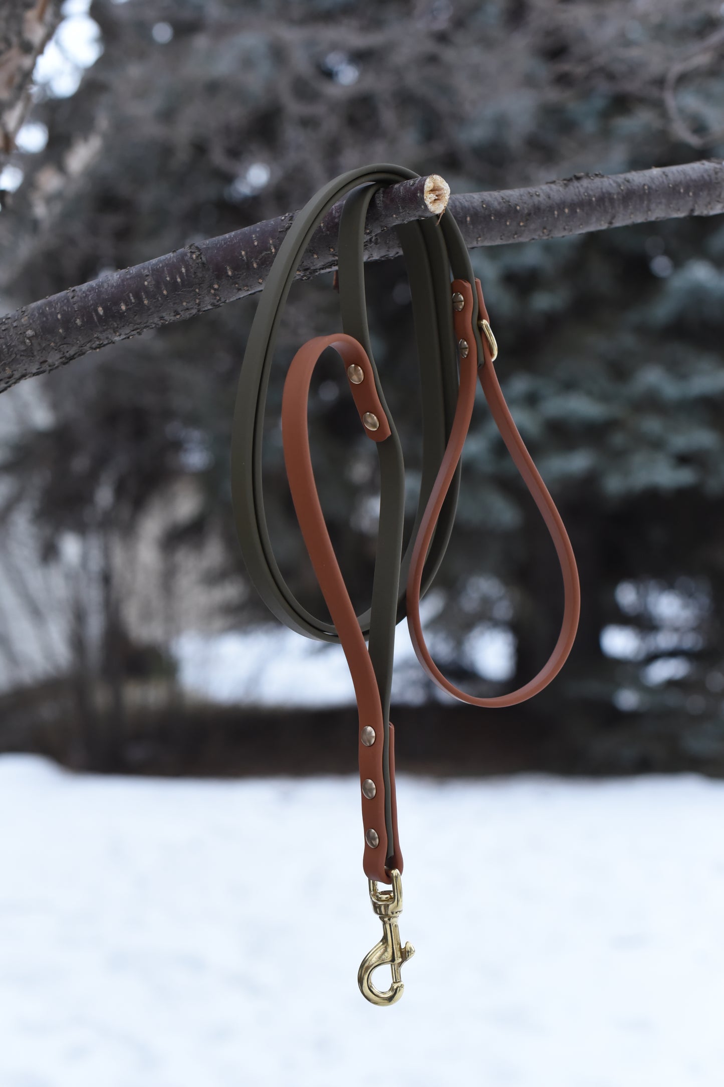 Leashes