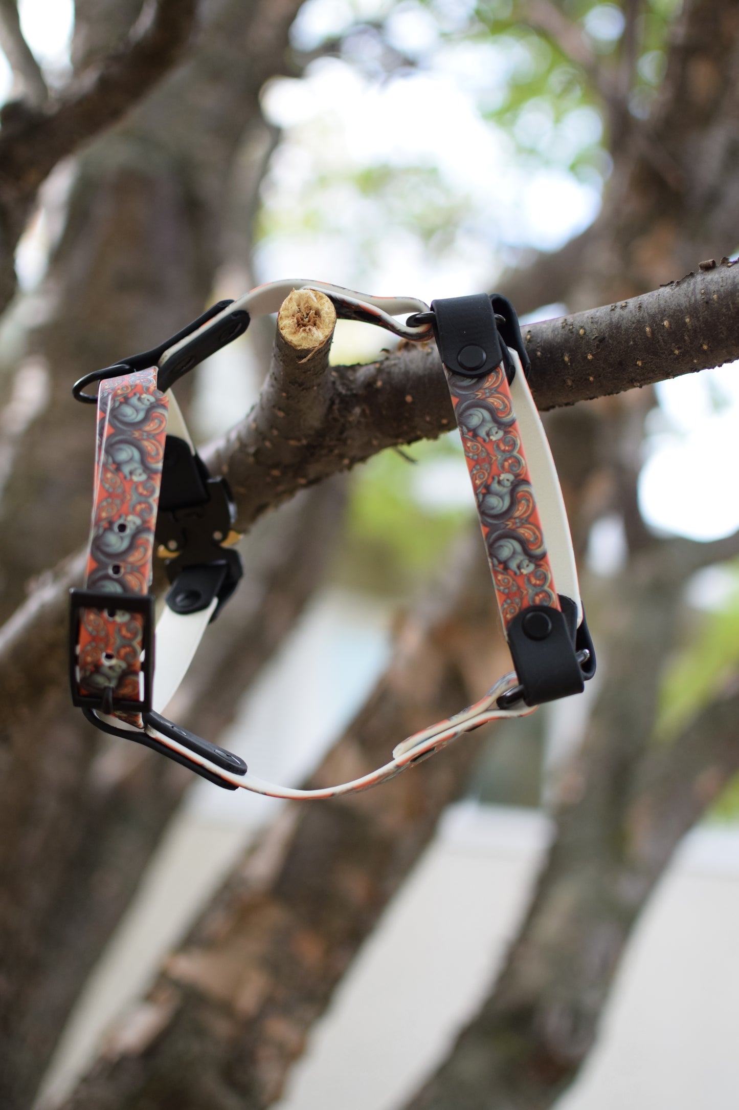 Everyday Cat Harness with Printed Biothane