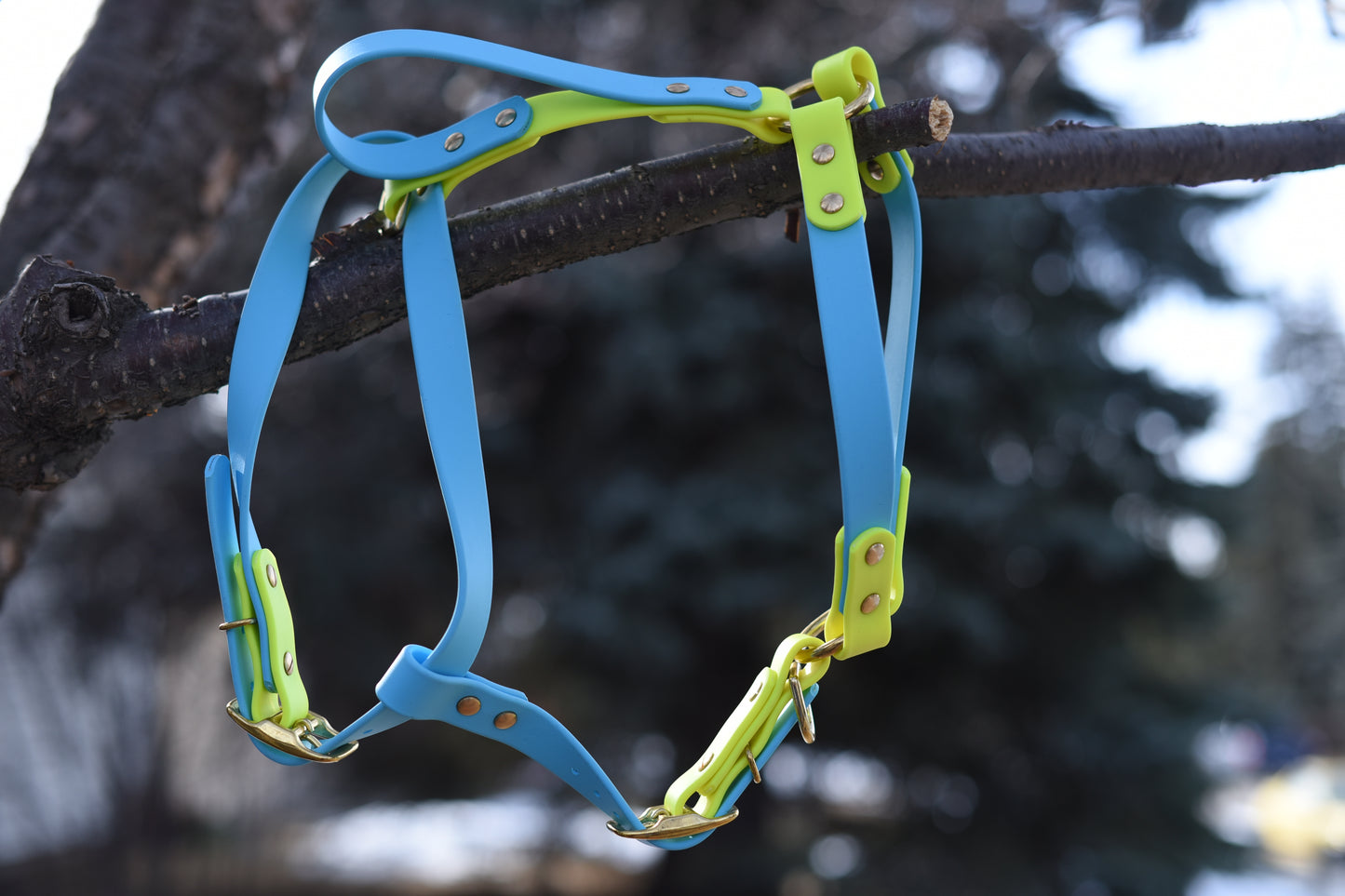 Everyday Dog Harness