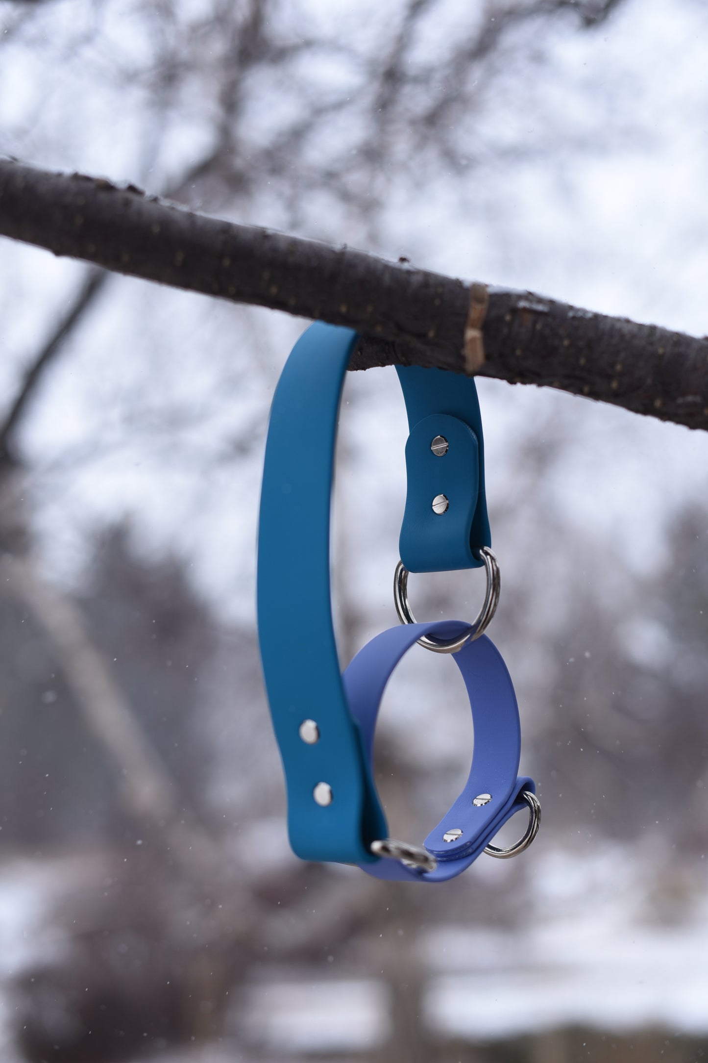 Martingale Collar