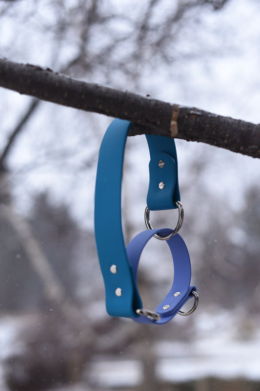 Martingale Collar