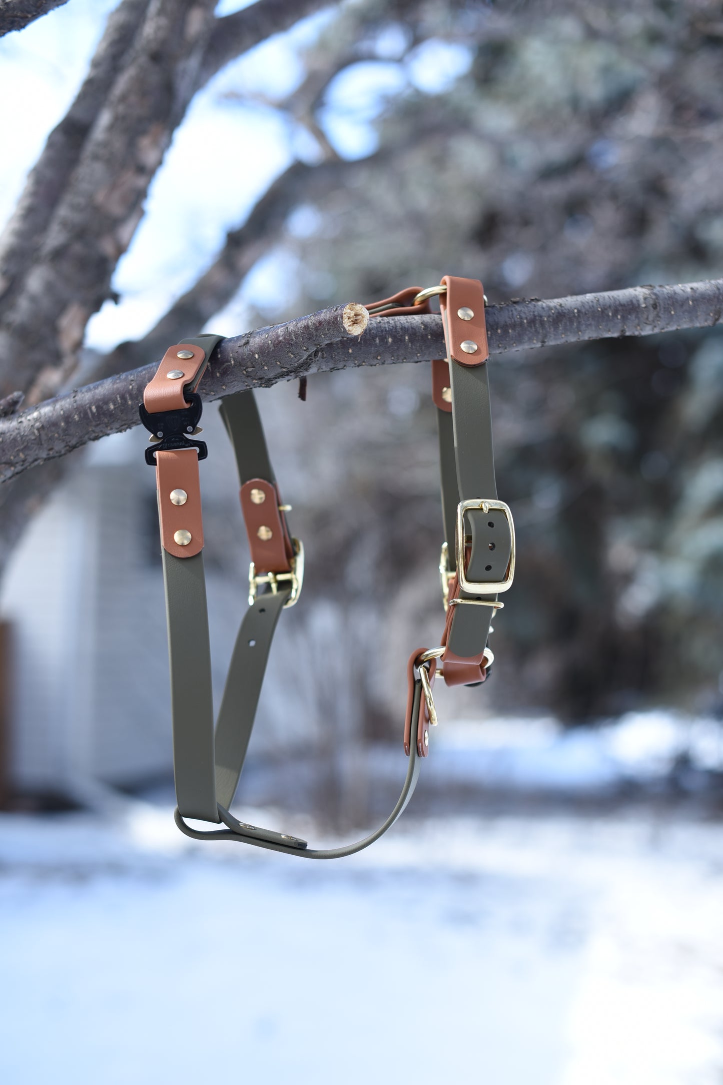 Everyday Dog Harness