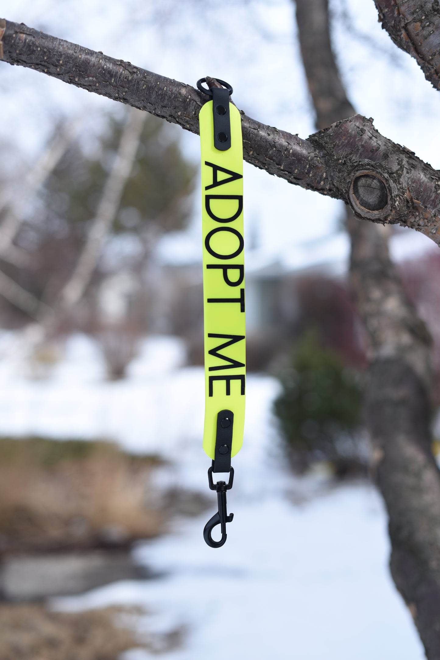 Leash Extenders with Words