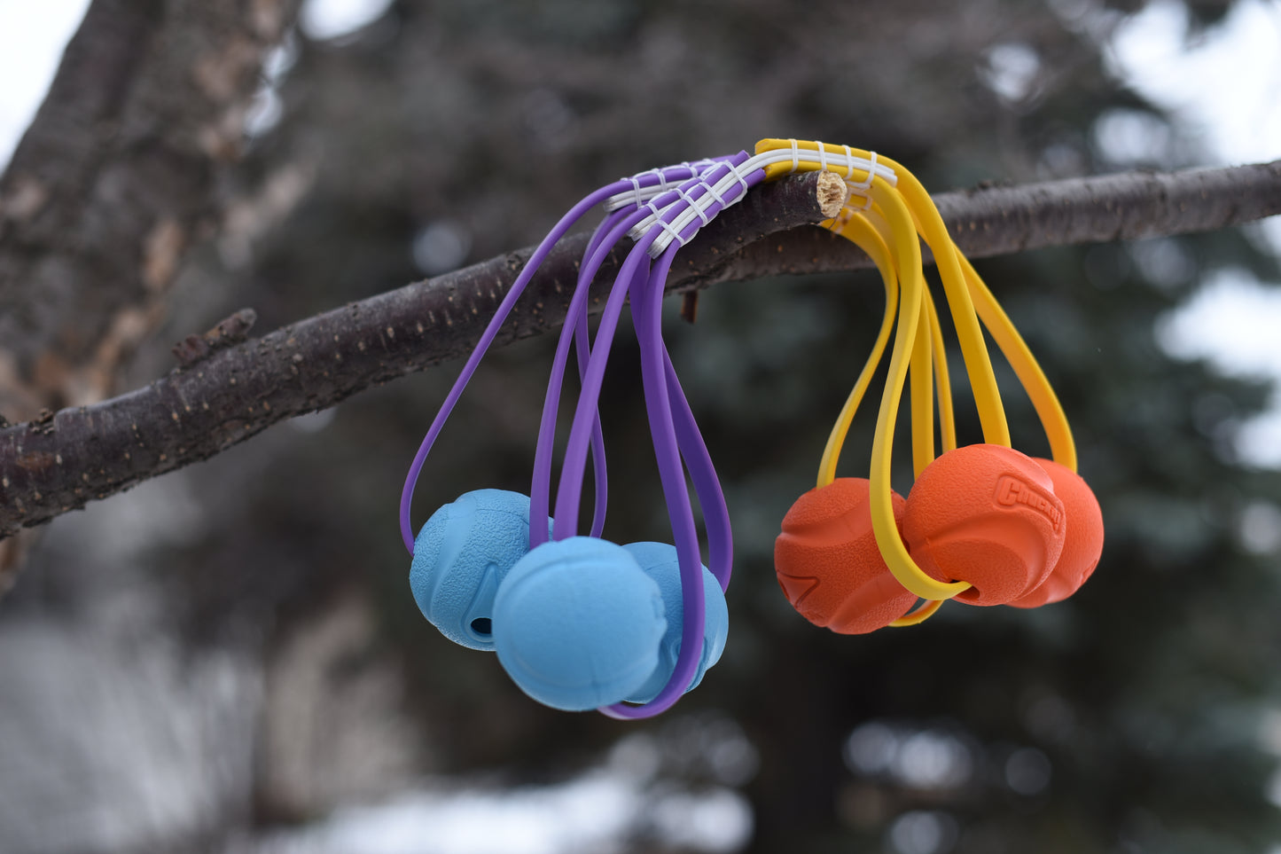 Double Ended Ball Tug
