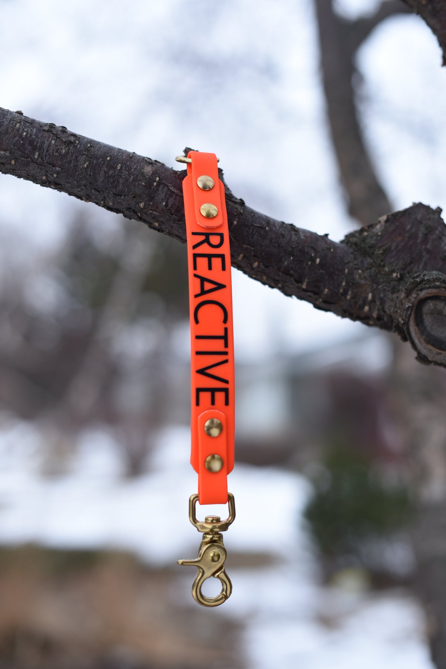 Leash Extenders with Words