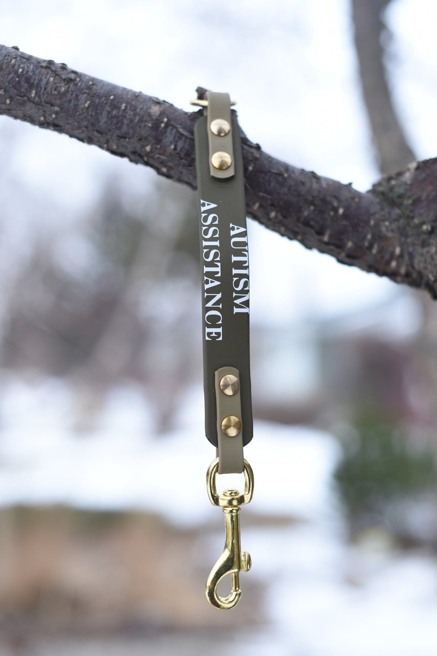 Leash Extenders with Words