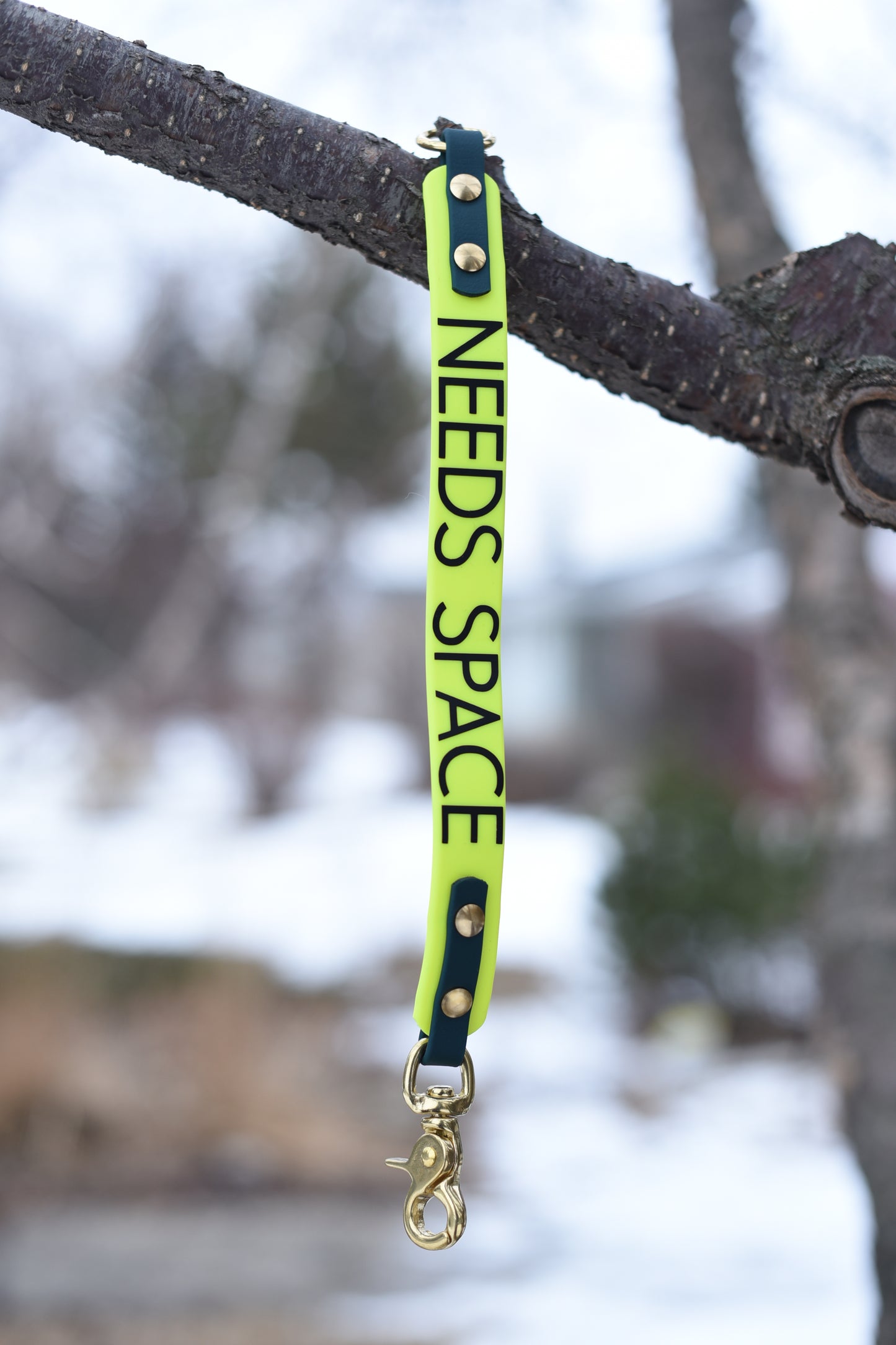 Leash Extenders with Words