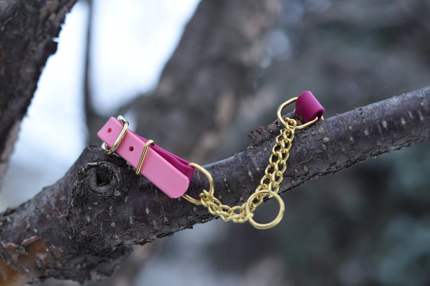 Martingale Collar