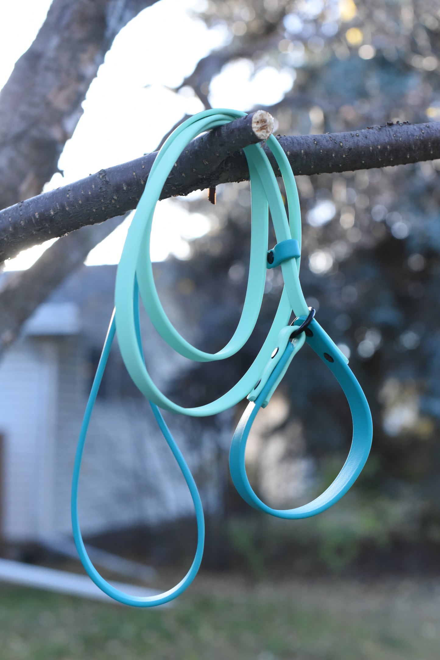 Limited Slip Leash