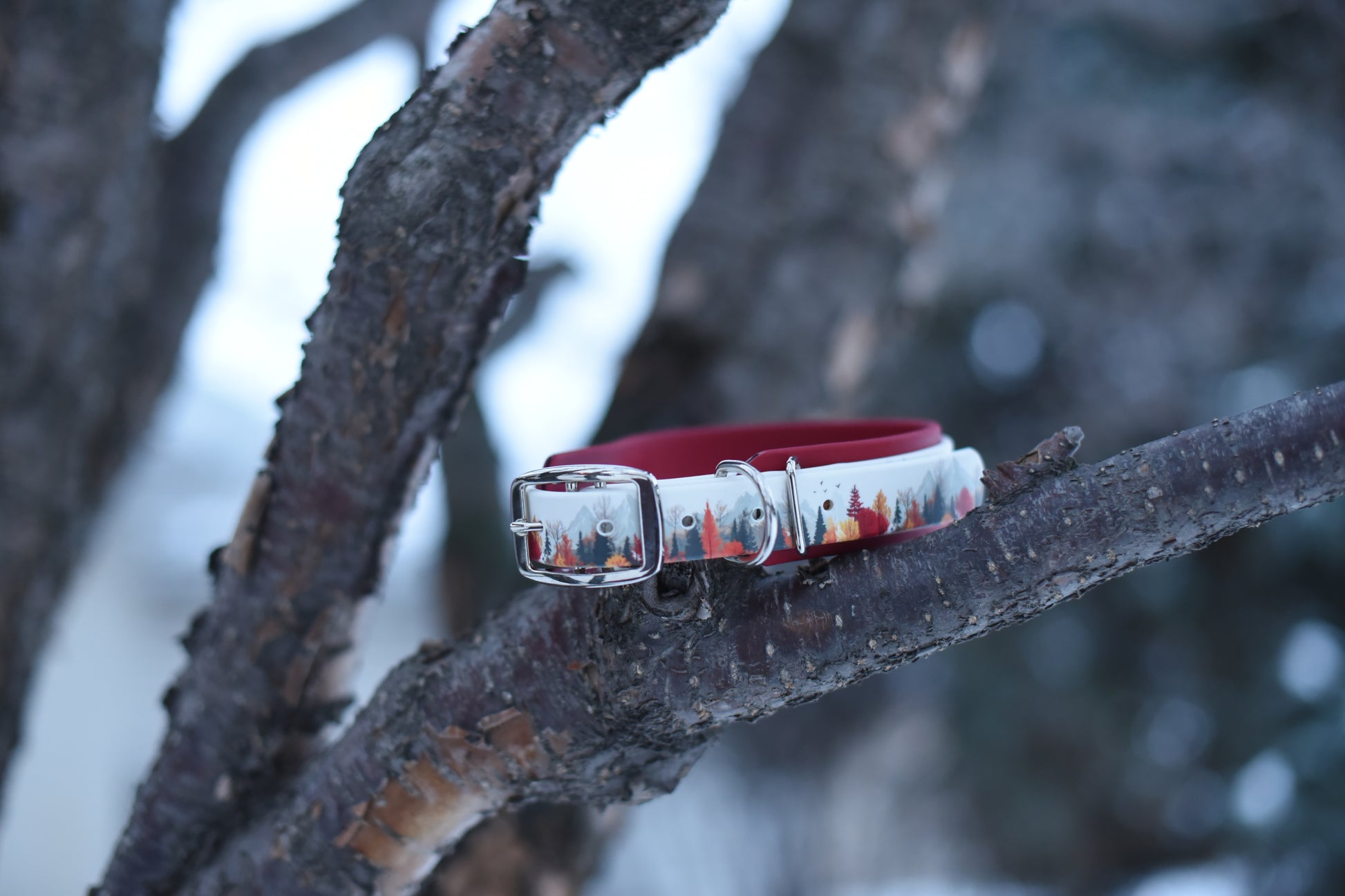 Mountain themed printed collar layered on a dark red layer sitting on a bramnch and silver hardware
