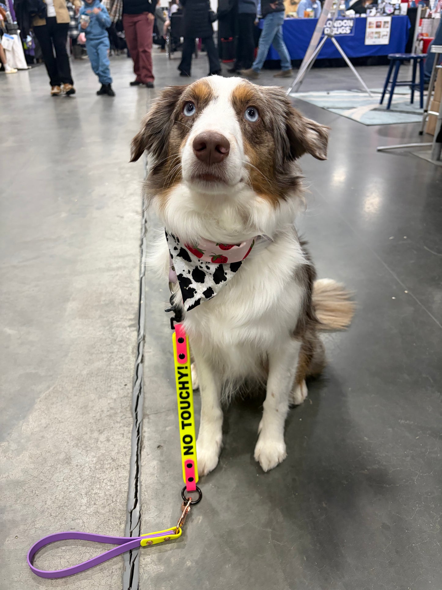 Leash Extenders with Words